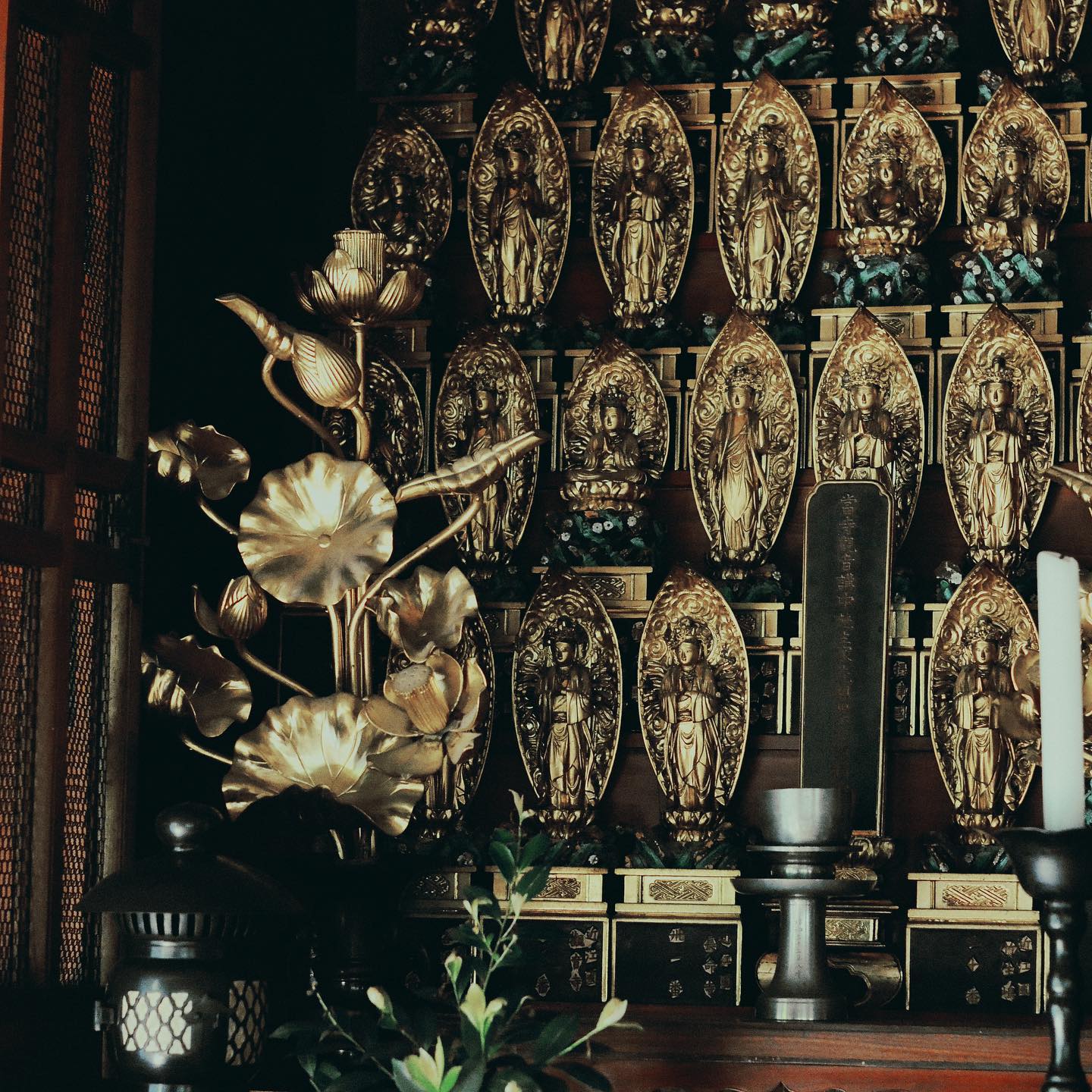 去年の旅を振り返り。青岸寺
#寺 #temple #japan #滋賀県 #summer
