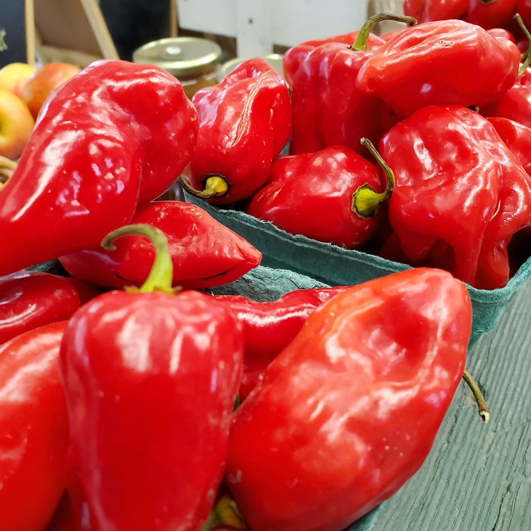 Habanero flavor without any heat!
Roulette offers the signature look and taste of a habanero without the heat! 🔥