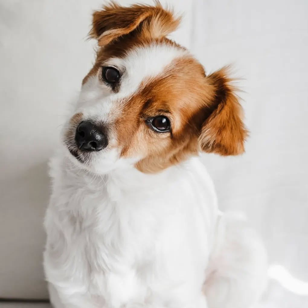 ❤️j'adore ❤️