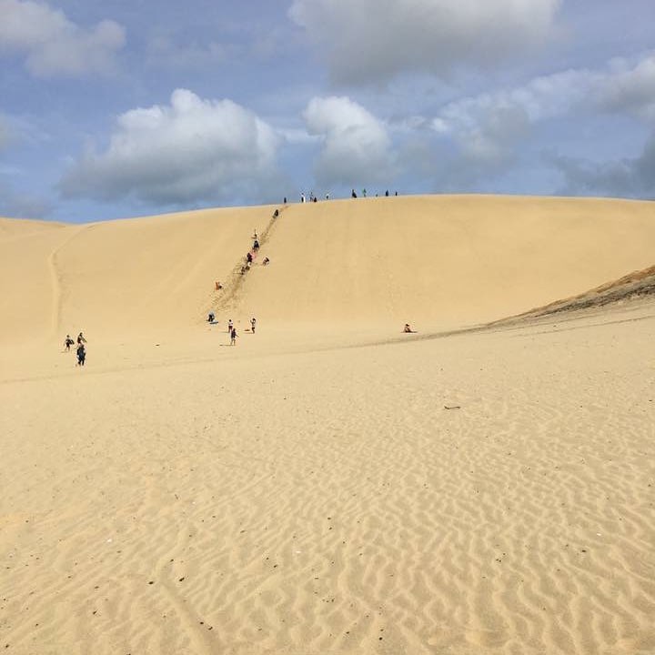 Nothing quite like the Giant Sand Dunes at Cape Reinga Northland NZ