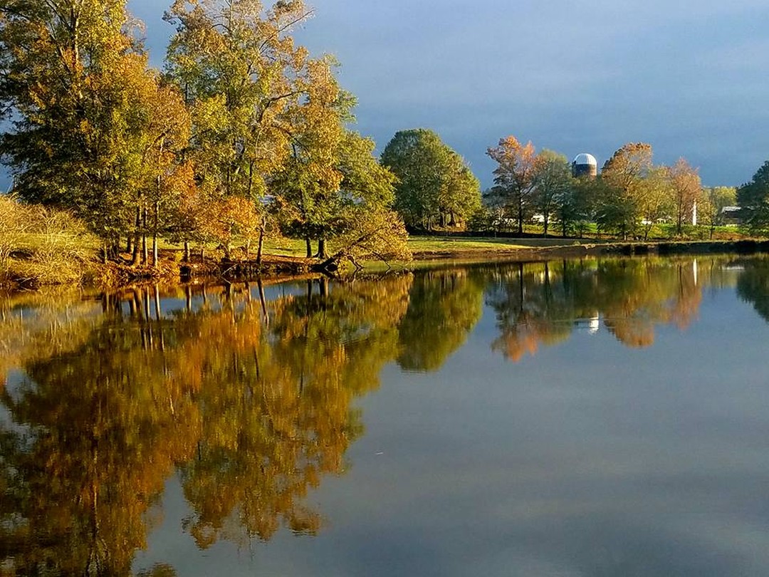 Fall is around the corner. It's been rated the best season for #horseriding. If you have a horse, remember you can come #rideforaday for just $10. We'd love to have you. 12 miles of #ridingtrails.