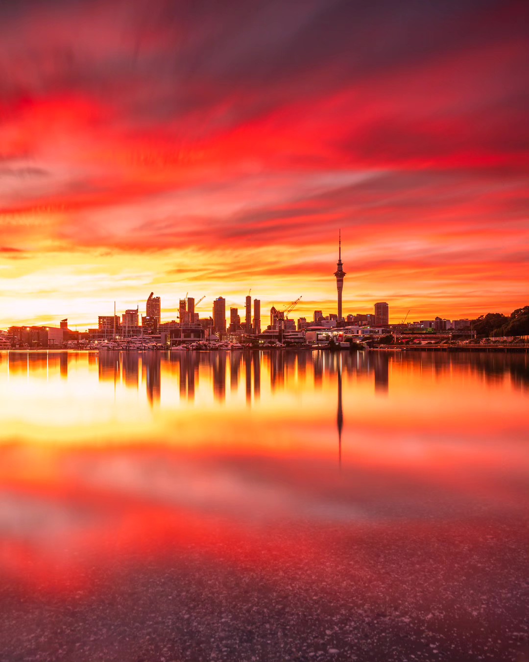This morning's stunning sunrise in Auckland 😍 Definitely worth the early wake-up.