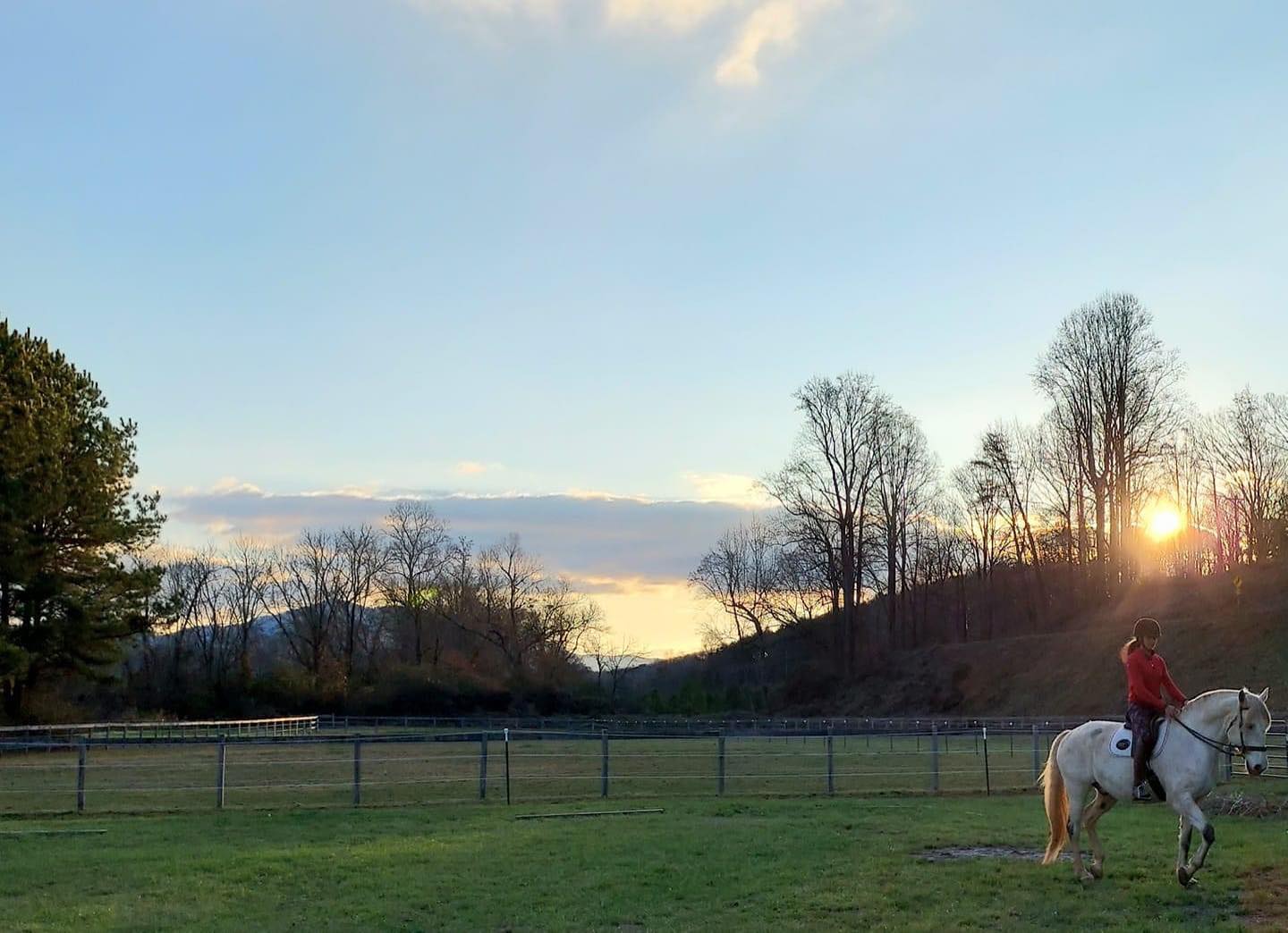 Spot the horse wearing a Transcend bridle😉 what a lovely setting this picture is taken in! Thank you for sharing @mamamalan1
#transcendbitlessbridle #doublebitlessbridle #simplesidecue #bitless #freedom #connection #superiorquality #englishleather #equine #horse #pony #bespoke #naturalhorsemanship #equestrian #baroque #horseaddict #equality #tack #biothane #photography #glowup #natural #horsesofinstagram #showjumping #dressage