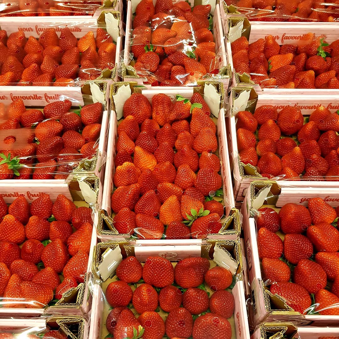 #strawberry #erdbeeren #fresas #spain #españa #morango #fragola #cilek #fruit #sweet #fresh #red #fruitarian #food #healthy #fresh #wholesale #hamburg #germany