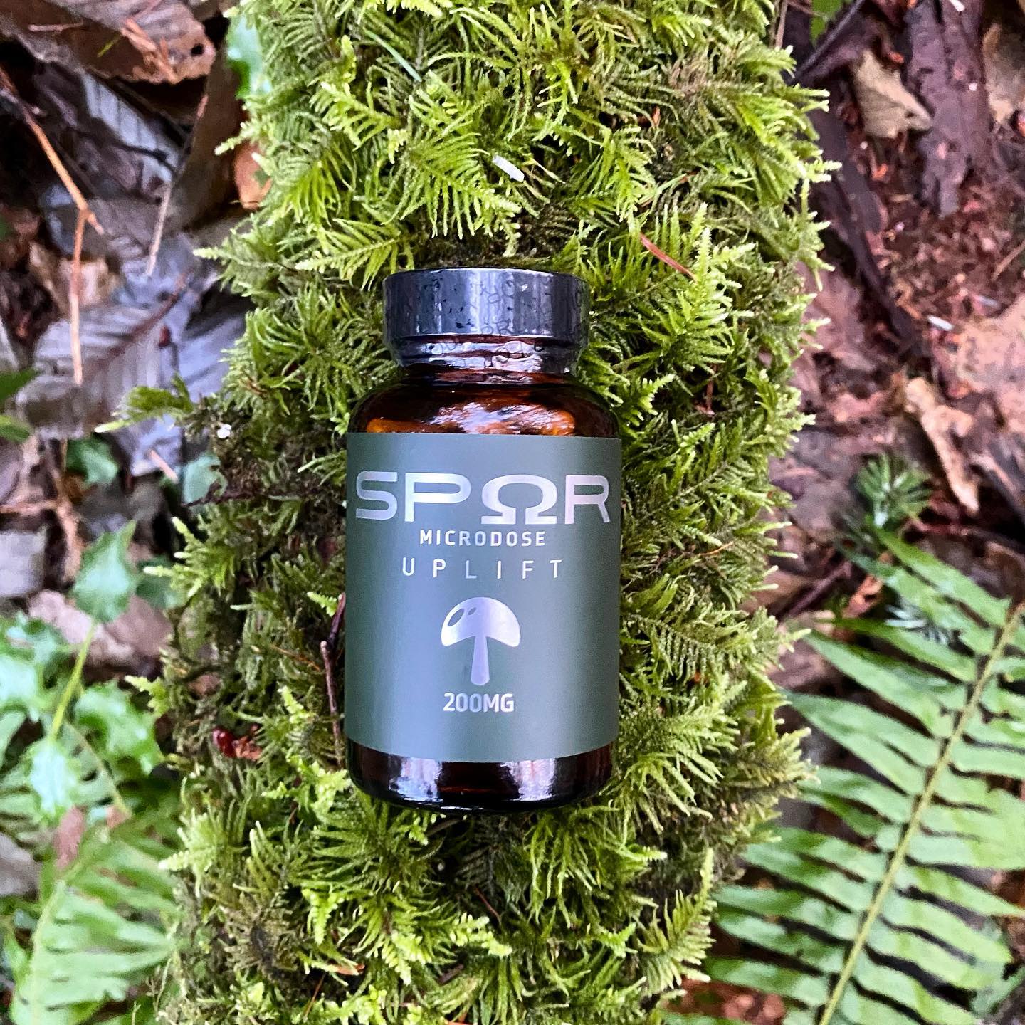 Mushroom Fact 🍄 - Mushrooms have a unique ability to absorb and filter out contaminants from their surroundings, making them effective at cleaning up oil spills and other environmental contaminants.
#fungi #ecofriendly #sustainable