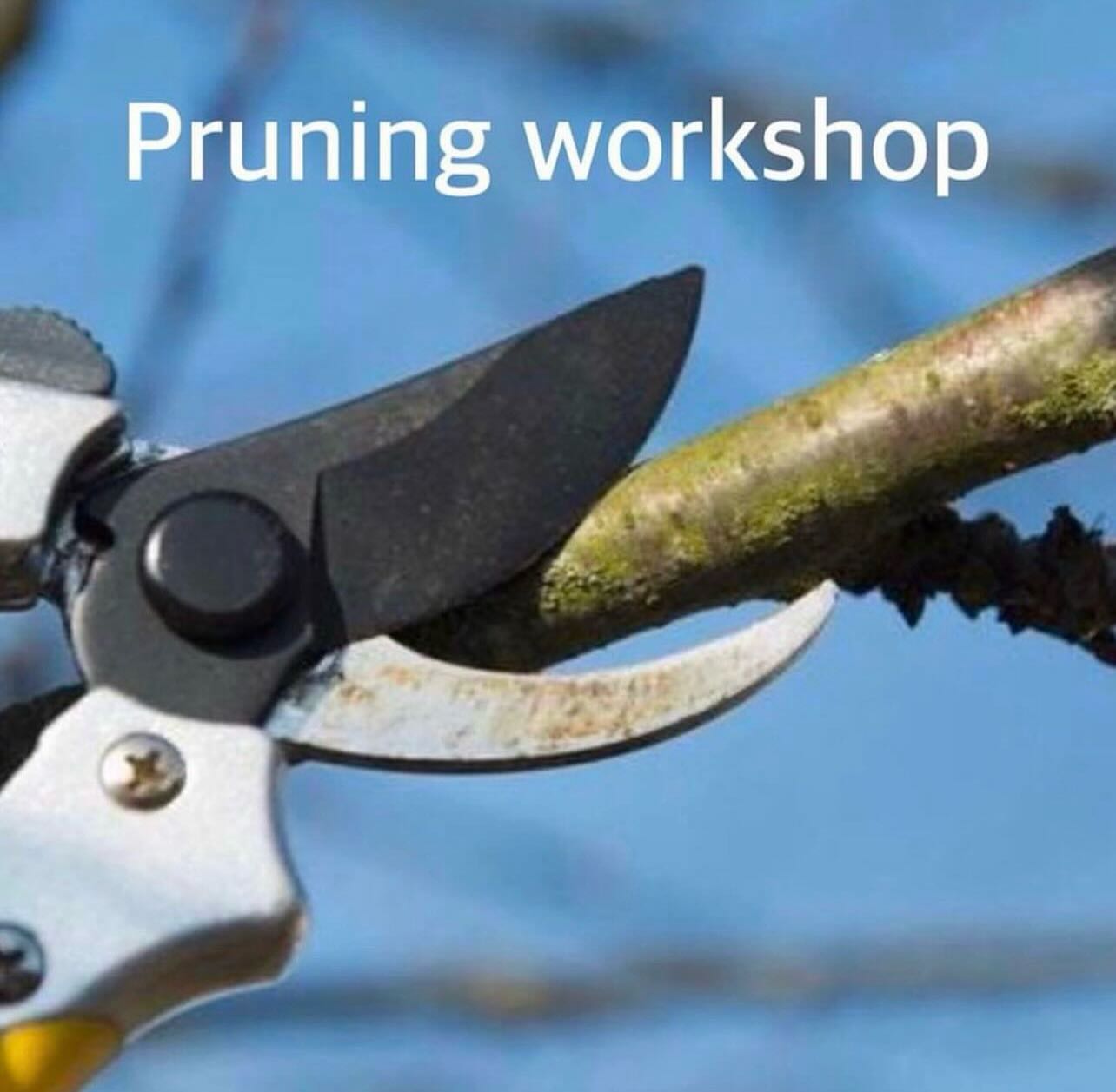 We are fully booked for the pruning workshop this afternoon, but there are a few spaces left for Saturday the 31st January. Head over to our website to get all the details.
#pruning #appletrees #oxford #orchard