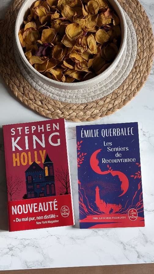 Aujourd'hui j'ai reçu deux livres de la part du @livredepoche !
Il s'agit de « Holly » de Stephen King et « les sentiers de recouvrance » de Émilie Querbalec.
Que pensez-vous de ces deux romans ? Ils vous tentent ?
✨ Résumé « Holly» ✨
Dans une jolie maison victorienne d’une petite ville du Midwest, Emily et Rodney Harris, anciens professeurs d’université, mènent une vie de retraités actifs. Malgré leur grand âge, les années ne semblent pas avoir de prise sur eux. À quelques pas de leur demeure, on a retrouvé le vélo de Bonnie Dahl, récemment disparue. Elle n’est pas la première à se volatiliser dans ce périmètre. Chose étrange : chaque fois, il s’agit de jeunes gens. Quels secrets inavouables cachent les murs tapissés de livres des époux Harris ?
Sur l’insistance de la mère de Bonnie, l’enquêtrice Holly Gibney, héroïne de la trilogie Mr Mercedes et de L’Outsider, accepte de reprendre du service.
✨ Résumé « Les sentiers de recouvrance » ✨
2035. Anastasia a grandi dans une Espagne qui subit de plein fouet les conséquences du réchauffement climatique. Après la mort accidentelle de son père, elle assiste au naufrage de sa mère. Ayden, quant à lui, a appris à ses dépens qu’à trop jouer avec le feu on se brûle. Laissant derrière eux leurs existences brisées, ils prennent chacun, en solitaire, la route de la Bretagne pour l’île de la Recouvrance, où les attend une méthode de psychothérapie révolutionnaire et l’espoir d’une vie meilleure.
Dans une Europe en pleine transition énergétique, le portrait lumineux de deux adolescents invités à conjuguer leur guérison avec celle de la Terre.
#unboxing #sortieslitteraires #romans