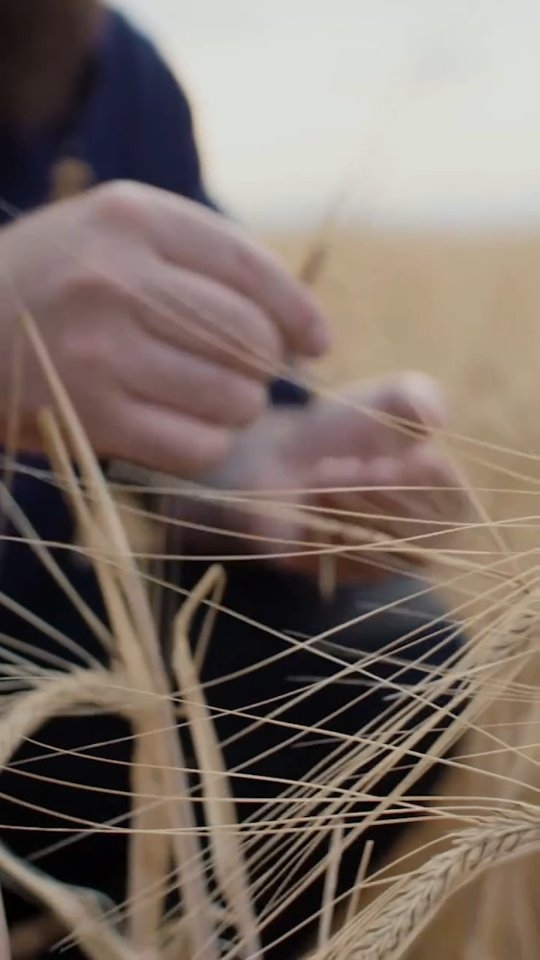 Crafted by tradition.
Defined by intention.
Talnua Single Pot Still Whiskey
The American Spirit with an Irish Soul