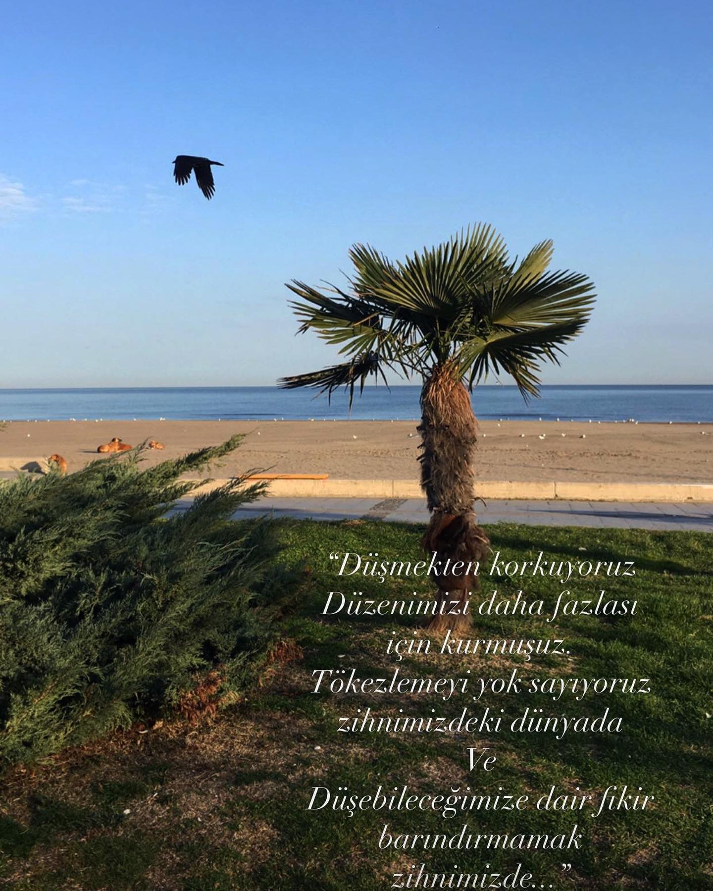 .
F. Nietzsche
.
Düştüğümüz hatalar boşuna değildir.
.
Geçmiştir bizi ‘tek başımıza çokluk ve kendimize dost’ yapacak olan.
.
Ağırlığın tini kendi varlığımızı kabullenmeyi, iyice çiğneyip özümsemeyi gerektirir.
.
Uçmayı öğrenmek isteyen kişi için önce emeklemek sonra yürümek sonra koşmak ve sonra uçmaya çalışmak gerekir. Bir anda öylece öğrenilmez uçmak.
Ve
Uçmayı öğrenemiyorsanız önce düşmeyi öğrenin.
.
#yigitonursen #varoluşçupsikoterapi