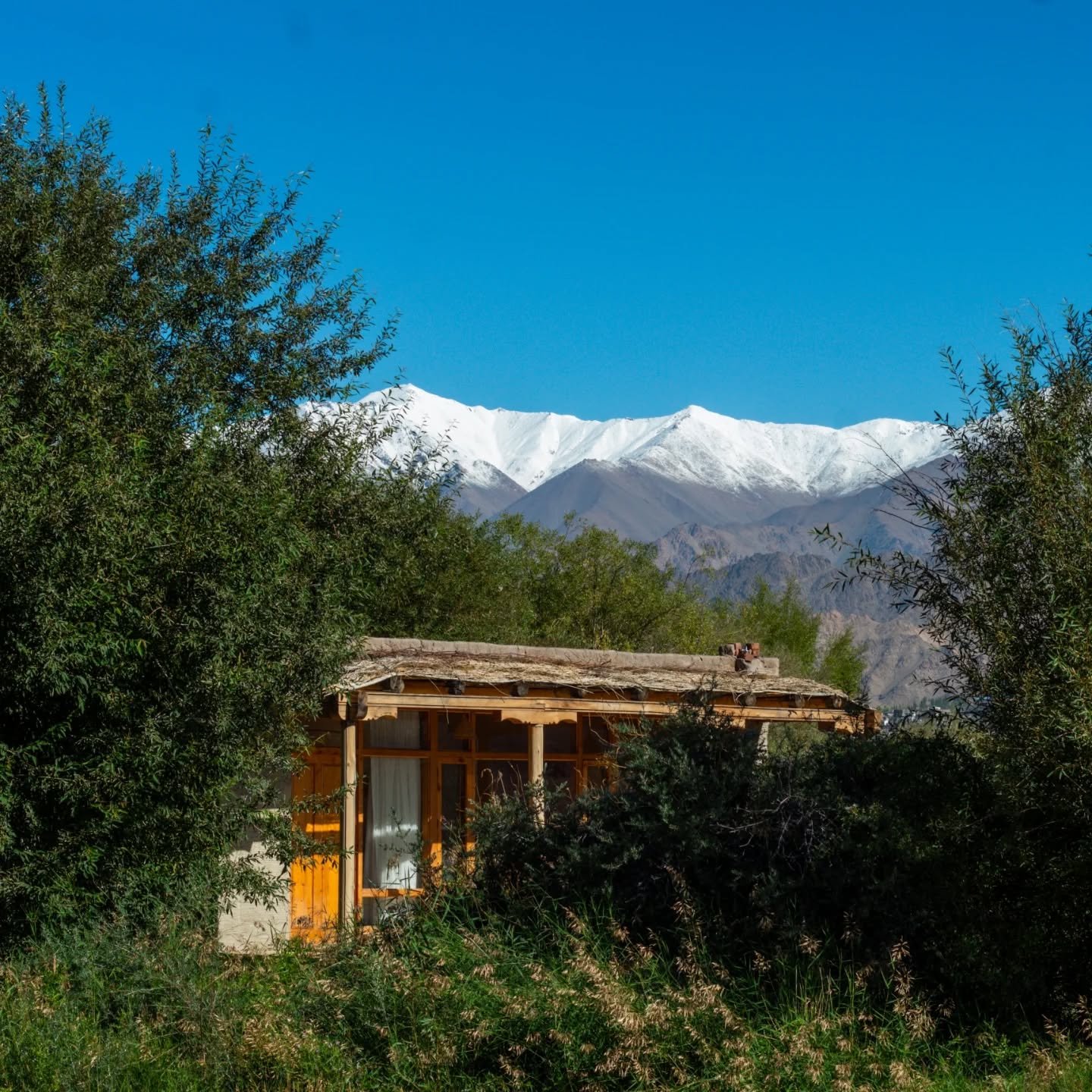 Some moments that capture this rare opportunity to retreat into one of the world’s most sacred and awe-inspiring landscapes.
About the retreat 🌿
This is a quiet mountain immersion taking place in the Himalayas, blending yoga, meditation, massage, and mindful living. Each day includes two guided practices, with the remainder of the time unfolding in gentle, spacious rhythms — exploring the rich local culture, visiting ancient monasteries, walking along river trails, sunset strolls, and stargazing by the fire.
With the mountains as our constant backdrop, the retreat invites deep listening, presence, and surrender to nature’s embrace. This retreat offers a rare and meaningful way to not only experience Ladakh but to slow down and reconnect — both inwardly and with the land itself.
Dates
12–17 September 2026
Location
Ladakh, Northern India
@indusrivercamp
DM to receive the brochure.
This is a small group retreat so make sure you don't miss out 🪷🙏🏽