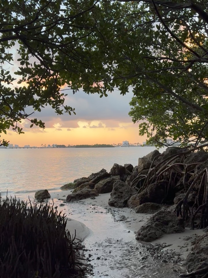 Keep Earth wild π #UNLITTER
β‘οΈ
#jointhemovement #unlitteryourmind #unlitteryourpath