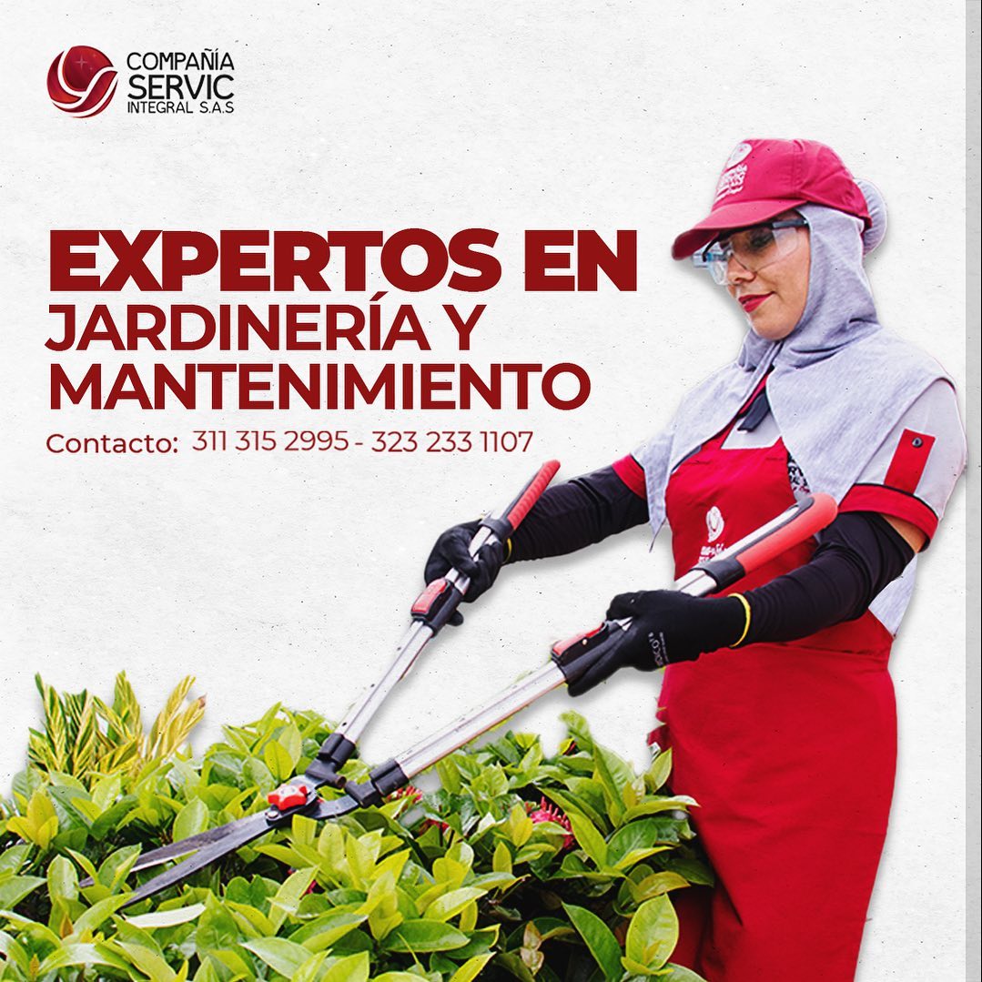 Expertos en jardinería y mantenimiento 👌🏼
¿Ya conoces nuestros servicios!
¡Contáctanos! 📲3112152995
📲3232331107
#aseoylimpieza #empresas #oficina #propiedadhorizontal #villavicencio #metacolombia #jardineria #zonasverdes