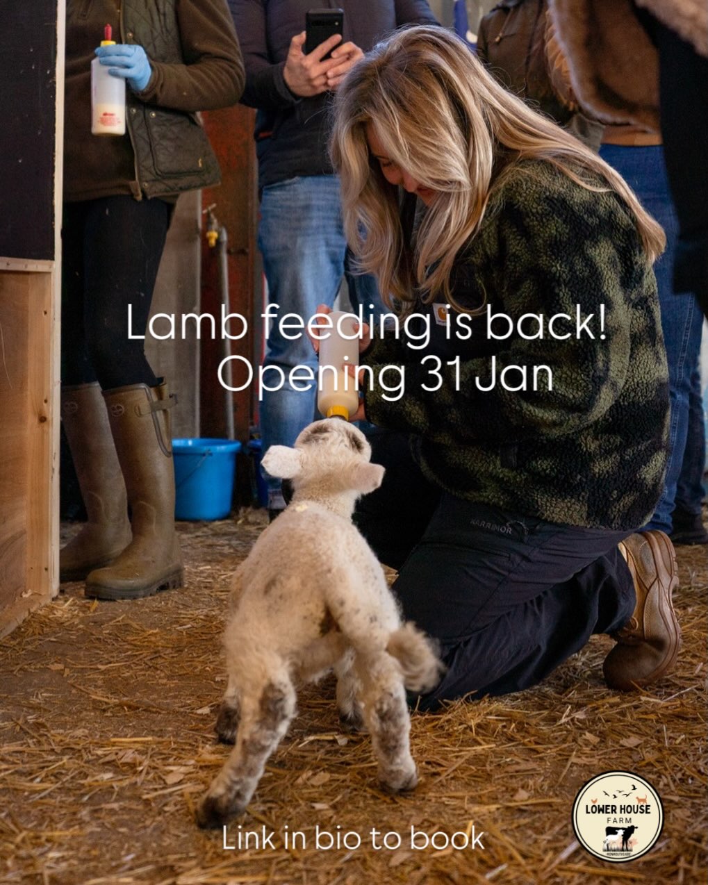 Lambing, here at Lower House Farm, is just around the corner and we’re opening up our lambing shed for you to experience our favourite time of the year! 🐑
30min experiences including bottle feeding some of our hand reared lambs. 🍼
Book via website (link in bio) 👆
#lambing #lambfeeding