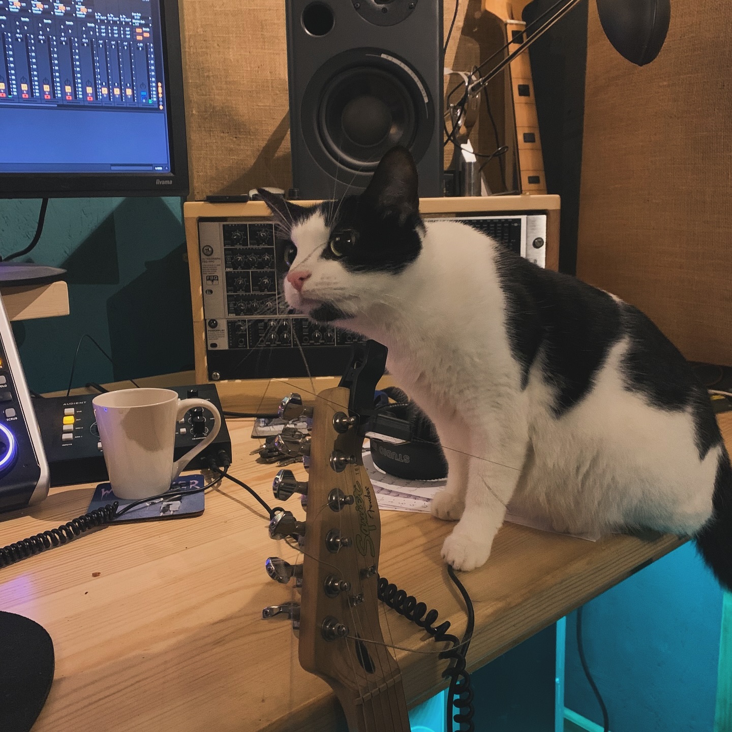 What a great year! 🎉
A huge thank you to everyone we’ve had the pleasure of working with this year - your creativity and support have made 2024 incredible.
Happy New Year - Here’s to an exciting 2025! 🔥
LHS
#happynewyear #NewYearVibes #RecordingStudio #StudioLife #IndependentStudio #RecordingEngineer #MusicProduction #StudioSession #SoundDesign #MusicCreators #AudioEngineering #studiogoals #guitar #cat #studiocat #lostherdstudios