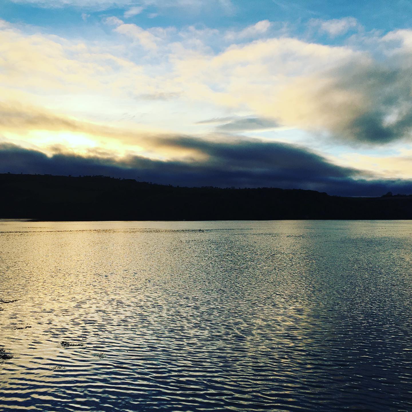 I spy with my little eye something beginning with d ...
•
•
•
•
#dolphin