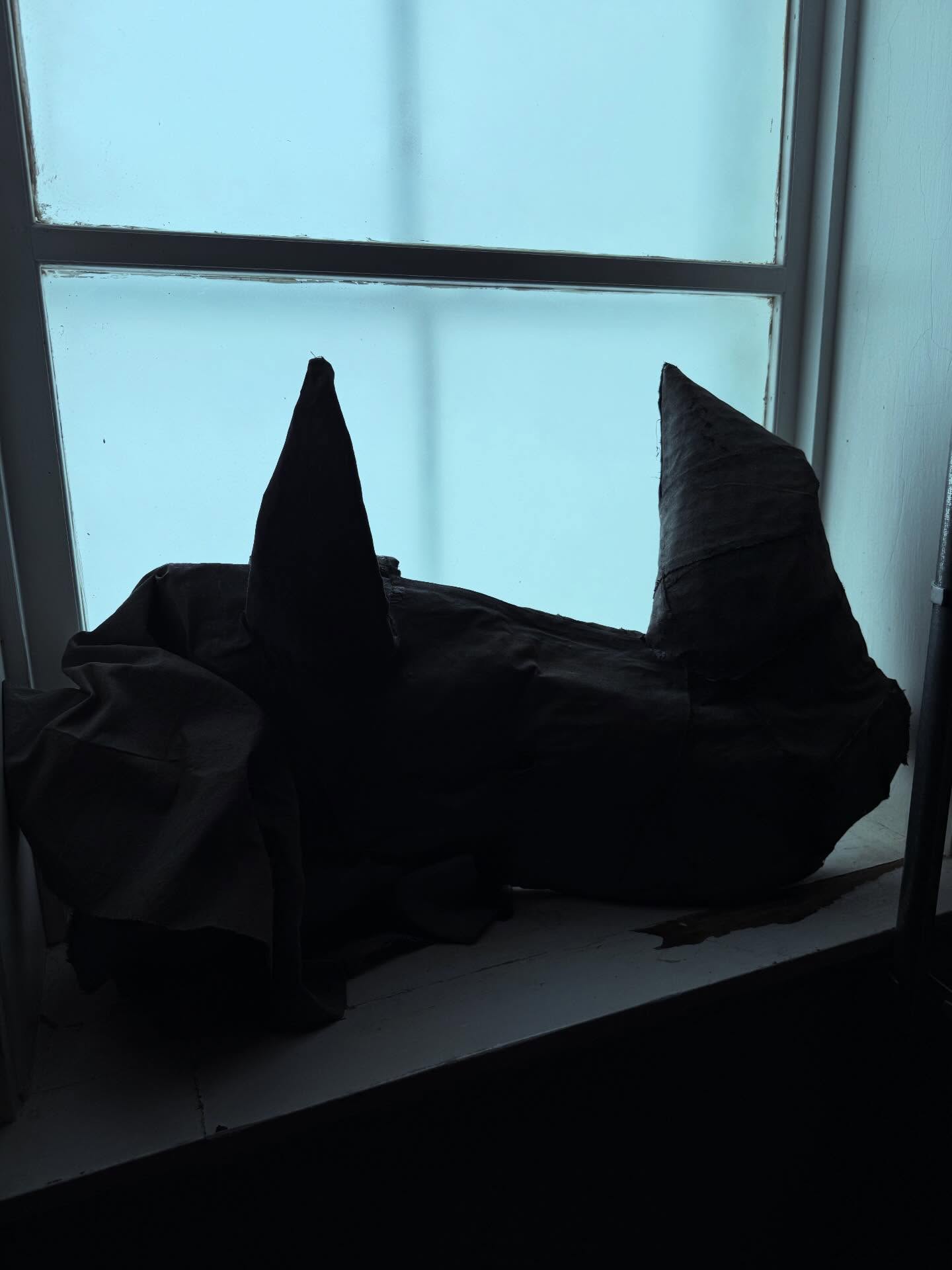 I wonder what act we are in?
“They’re like gods.” Daisy, Act 3
Daisy shows how, when a group becomes dominant, it can portray itself as being attractive, no matter how harsh it is. Because everyone has become a rhinoceros, their brutal behavior can be glorified as the ideal. Looking and acting like a rhinoceros becomes the new norm to conform to. Anyone who doesn’t conform appears ugly and weak, so Daisy sees the rhinoceroses as beautiful creatures or gods.
Rhinoceros by Eugene Ionesco. The Dormouse produced this show in spring of 2025. The show is an autobiographical tale written just post WWII. It emphasizes the playbook and propaganda used by the regime of the time. In rehearsals we witnessed our checks and balances being tested and failing, and now we are being told to deny the things we are seeing with our own eyes. It surreal to watch this play, this playbook, continue in real time. We do not need an encore. Be unafraid! Resist!