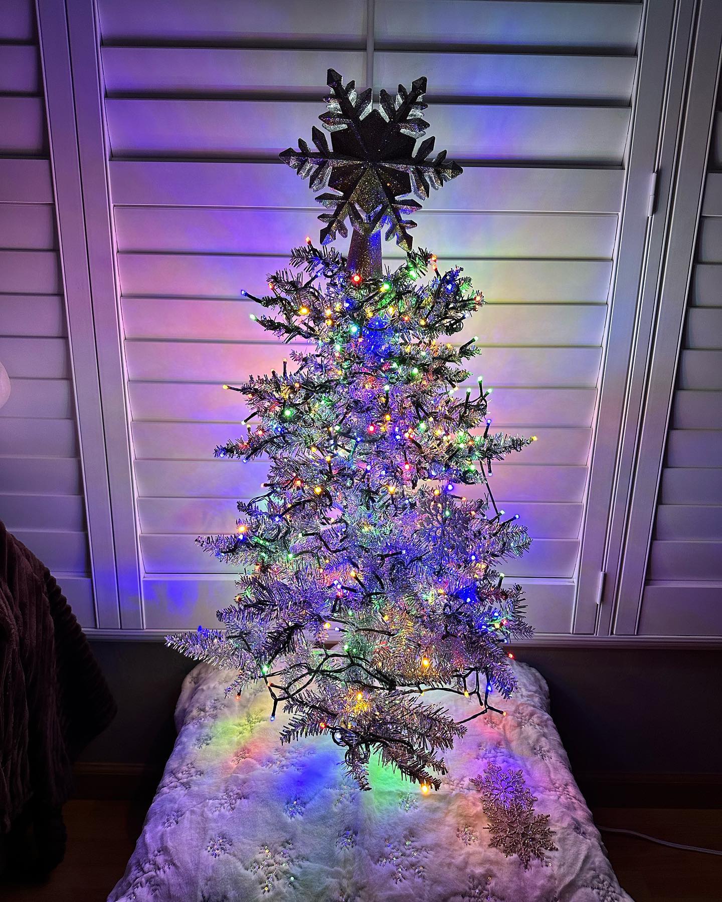 🌲 Merry Christmas 🎁