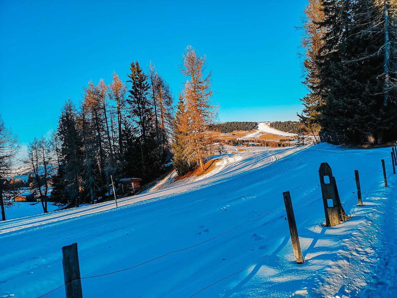 ✨ Una passeggiata nella magica Alpe di Siusi ✨
🗻Per chi ama la montagna d’inverno ma non scia, l’Alpe di Siusi in Alto Adige è una scelta perfetta. L’altipiano più grande d’Europa è un’arena per sport all’aperto davvero unica per le infinite opportunità che offre. Si trova a ben 25 km da Bolzano, dove è possibile trovare ogni tipo di servizio -Musei, cinema e vita notturna.
❓ Cosa si può fare in inverno all'Alpe di Siusi?
🎿⛷175 km di piste da sci per ogni livello di preparazione e adatte ad ogni età. Ben 80 km di piste per il fondo e potrete trovare anche uno Snow Fun Park, in cui è possibile provare il freestyle
❄️Sono tanti i sentieri battuti che permettono di passeggiare completamente immersi nella natura lontani da rumori, stress, pensieri. Chi invece vuole ciaspolare, non avrà che l’imbarazzo della scelta.
🛷Oppure si può noleggiare uno slittino e scendere in una delle 11 piste dedicate solo agli slittini. Da Panorama e da Bullaccia ce ne sono due molto lunghe davvero emozionanti!
👧👦Se avete dei bambini e proprio non vogliono saperne di sciare possono comunque divertirsi trascorrendo una giornata al Family Park.
🐴Un altro modo suggestivo per esplorare l’Alpe è a bordo delle tradizionali carrozze trainate dai cavalli
🍽E per mangiare? Se cercate un’atmosfera tipica dello chalet di montagna e volete provare specialità locali, si trovano tante malghe raggiungibili a piedi o in seggiovia
❓E voi siete mai stati in questa zona dell'Alto Adige? Che attività vi piacerebbe provare? Raccontatemelo nei commenti😀
#instatravel #instamood #viaggio #altoadige #altoadigedascoprire #guidadiviaggio #ontheroad #ioviaggiodacasa #bolzano #bozen #bolzanobozen #merano #sudtirol #sudtirolo #seiseralm #nofilter #snow #alpedisiusi #visitsouthtyrol #southtyrol #suedtirol #dolomiti #dolomites #dolomiten #dolomitiunesco #instadolomiti #alpedisiusi #seiseralm #❄️