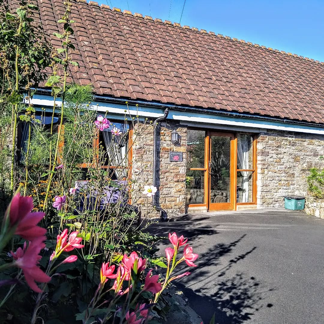 Flowers at Tyn Cellar Cottage
#tyncellarcottage #tyncellarcommunityhall #selfcateringcottage #selfcatering #holiday #cottages #margam #porthcawl #bedandbreakfast #inittogether #barnconversion #tyncellarfarm #thebarnbedandbreakfast #inittogetherfestival #farm #farmlife #visitwales #walesadventure #wales❤️#nature #october #welshholiday #wales