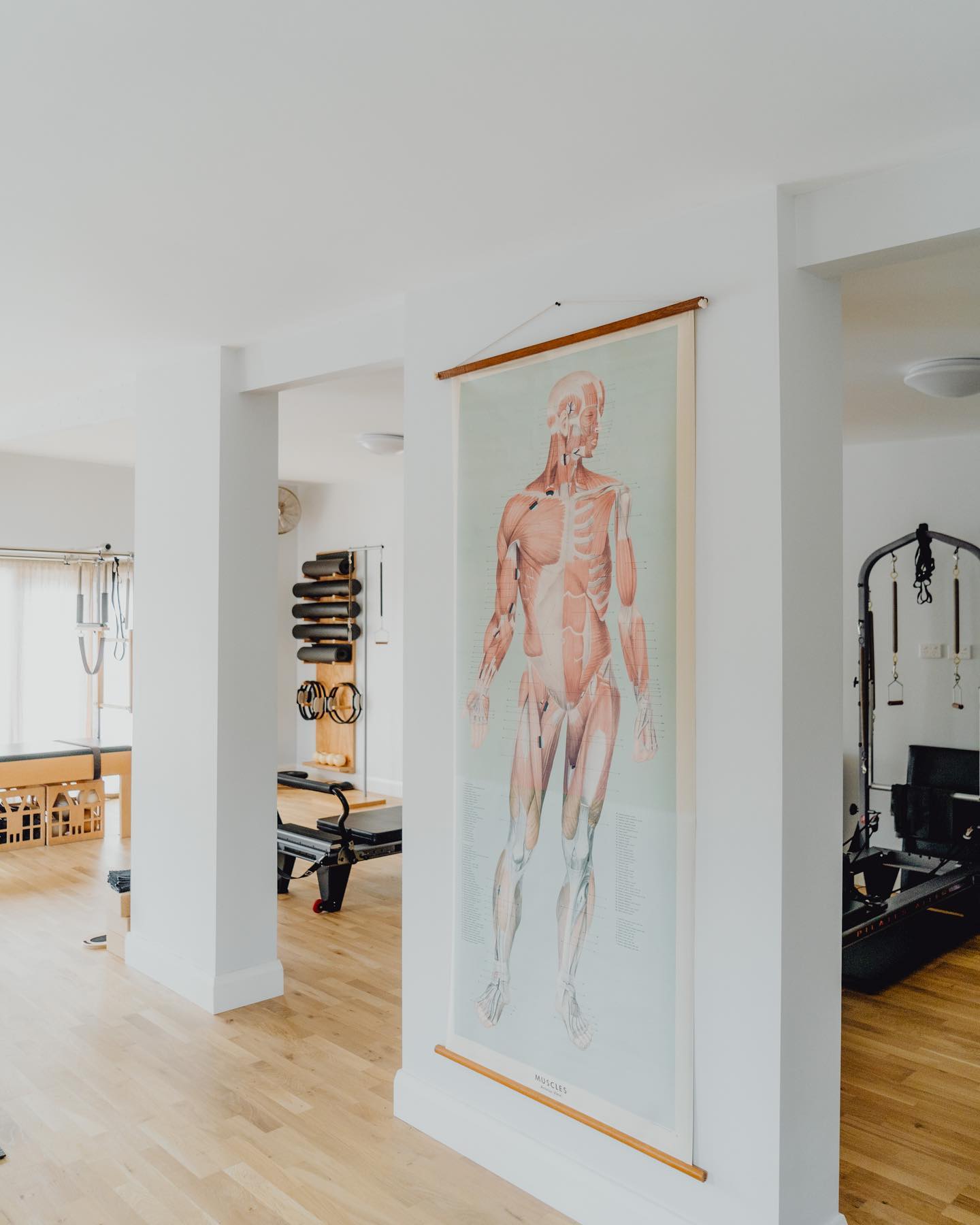 I love history. I love vintage treasures. These vintage anatomy posters were printed in Stuttgart, Germany in 1960 by Ernst Klett Verlag Publishing. They are printed on paper backed with linen. A rare and treasured find. 💛
_
#pilatesandmovement #pilatesandmovementsunshinecoast #pilatessunshinecoast #sunshinecoastpilates #pilatescoolum #pilatesmarcoola #vintage #vintageanatomy #jazzyconnorsphotography