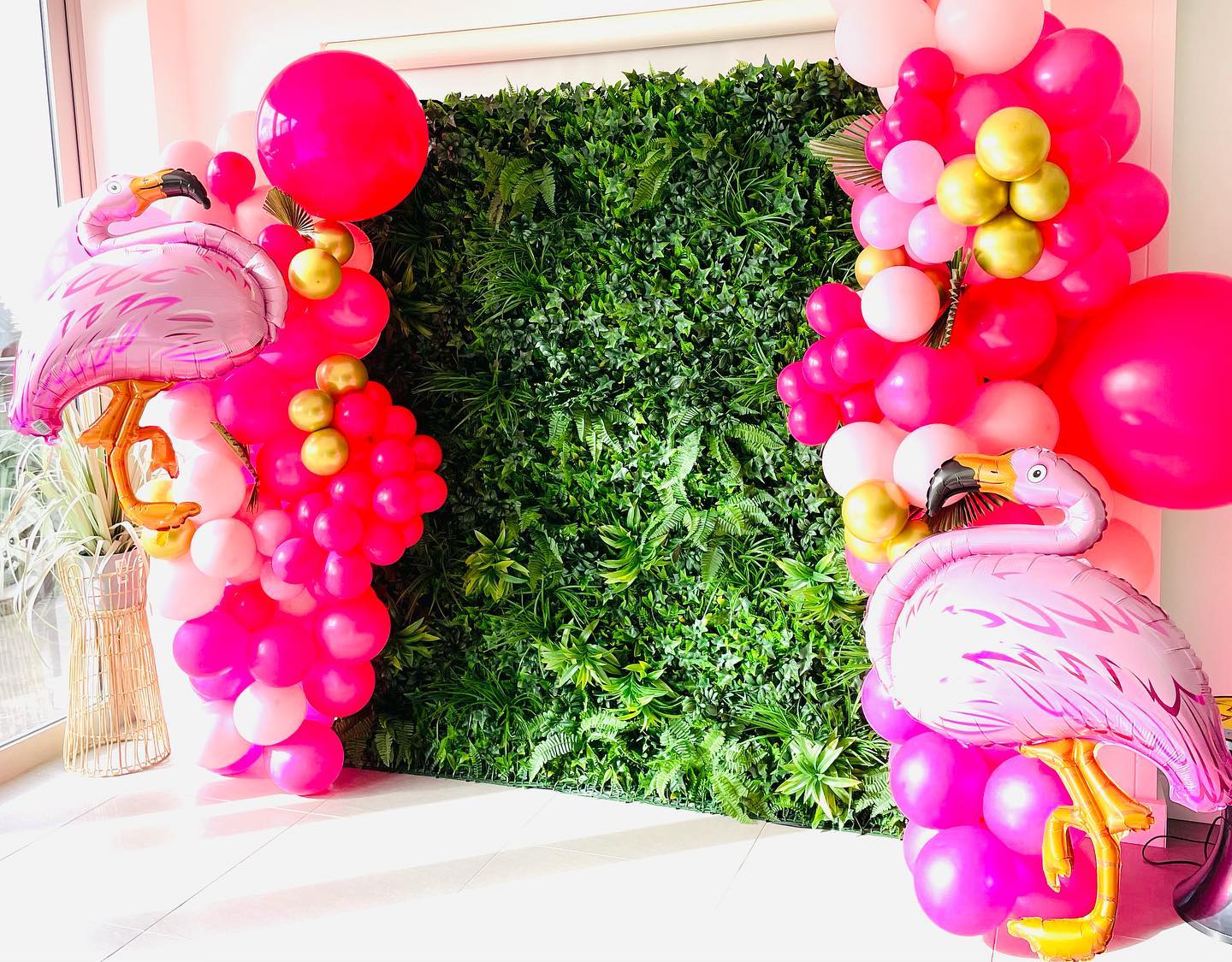 Tropical vibes for a hens night last weekend! Prettiest green wall on the coast @partymamma.partyhire balloons by @belles_decorations_by_design #flamingoparty #flamingotheme #hotpinkparty #pinkparty #pinkthemed #flamingoballoon #flamingoballoons #greenwall #junglethemeparty #hensnight #henstheme #bridalparty #bridetobe #balloongarland #balloondecor #pinkongreen #centralcoastnsw #centralcoastballoons #balloonscentralcoast