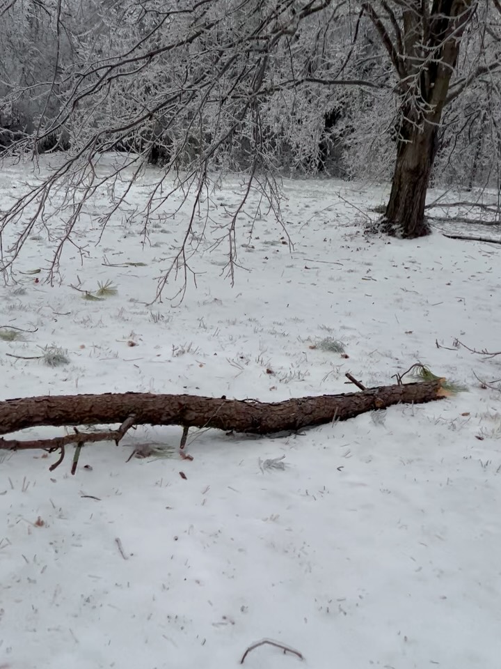 Day 3 of the Nashville ice storm & this footage doesn’t do it justice. Gonna have a lot of clean up 🌲🪓
Y’all stay safe out there!
No Power?! Come warm up at my show tomorrow at @listeningroomcafe at 6pm w/ my friends @lancecarpenter & @brennleybrown 🎸
#ice #snow #weather #nashville #livemusic #staysafe #staywarm #country #wynners