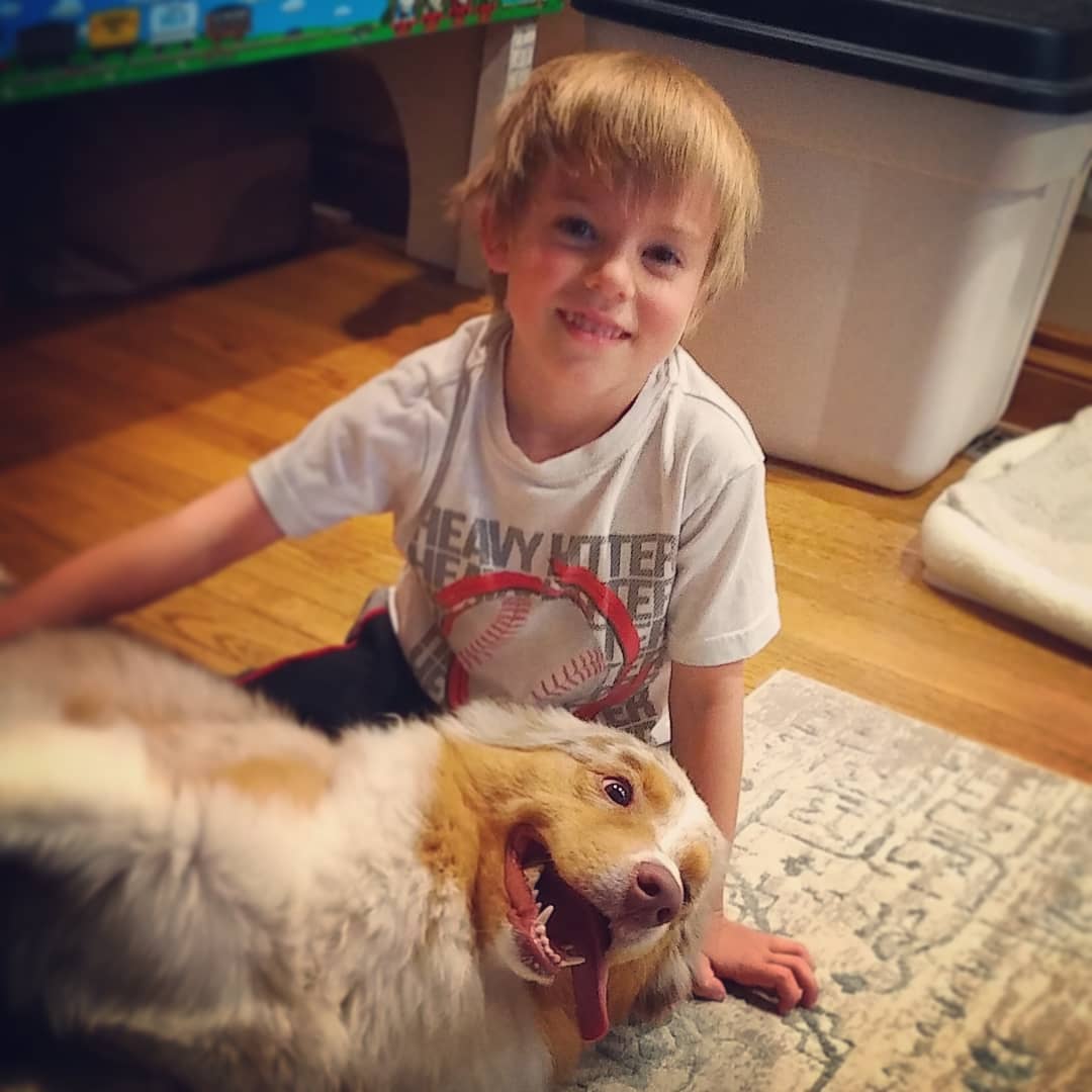 Harlan + belly scratches = crazy eyes๐๐๐
#ausableriveraussies #aussiesofinstagram #aussiesofig #dogstagram #aussies #redmerle #dogsofig #australianshepherd #bellyrub #rubmybelly #boyandhisdog