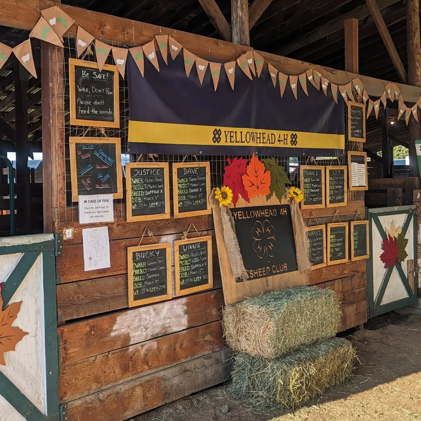Salt Lick BBQ will not be at the AG Expo this weekend as we're busy preparing for the banquet and helping the Yellowhead club. Come on down and support the kids this weekend :)