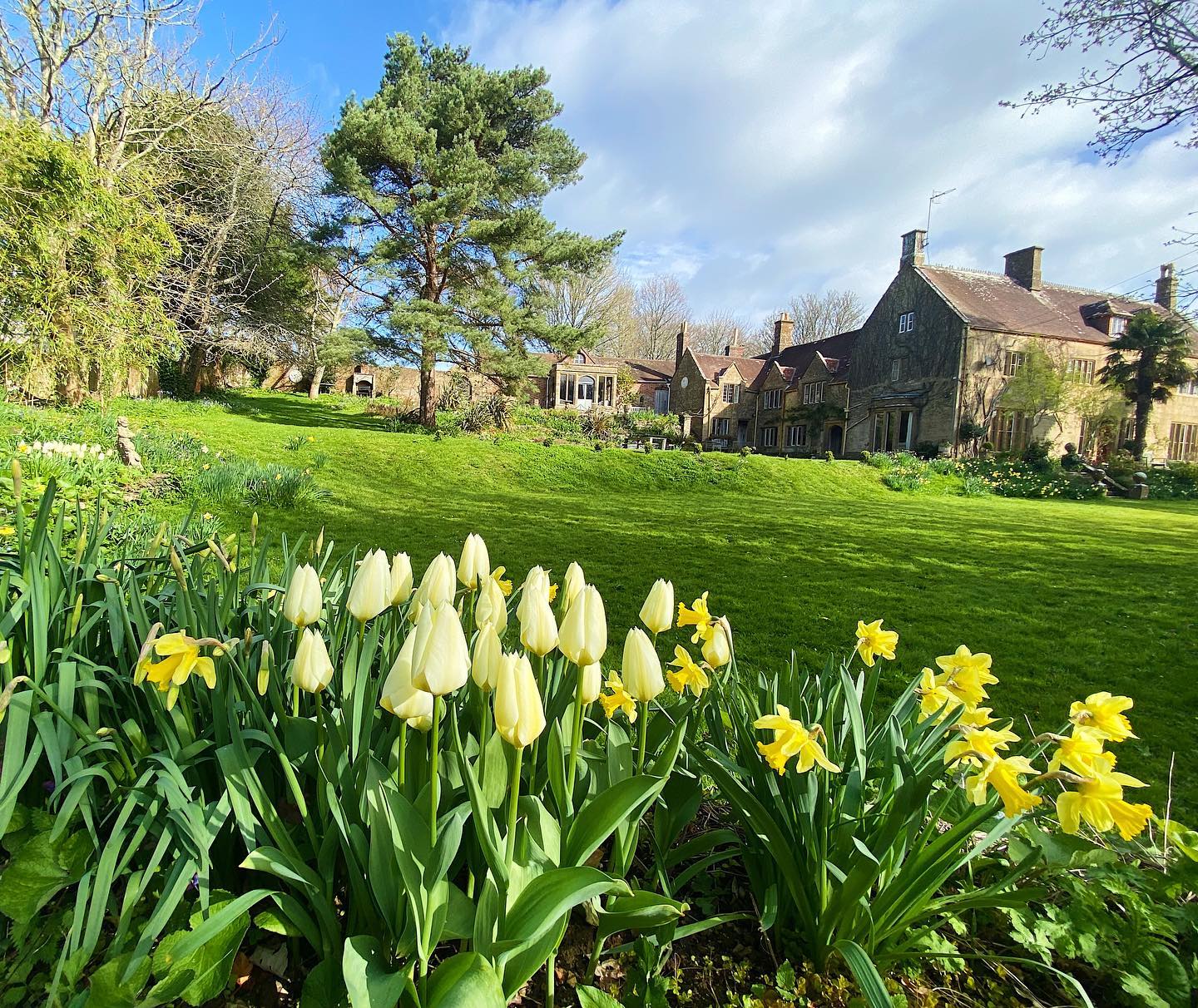 Hope everyone had a lovely long Easter weekend!🐣🌷
We were delighted to read this lovely feedback from our guests who stayed for their family Easter holiday:
“Thank you SO much for letting us stay at The Manor over this last weekend. Your lovely lovely house was a perfect place for our Easter family holiday. There was 20 of us - across 2 generations and we had such a special time together.
The huge Manor House swallowed us all wonderfully. Our children produced some splendid meals in the well-equipped kitchen. The garden was very inviting for younger family members to play in, and for older ones to sit out in the sun. Symondsbury’s location was perfect for visits to the seaside at Hive Beach and at Charmouth. So, all in all, a thousand thanks from us all.”
Thinking of booking a Easter family holiday for 2024?
Please get in touch with us at peter@symondsbury.com
We would love to hear from you😊
#symondsburymanor #symondsbury #dorset #bridportdorset #jurrasiccoast #dorsetcoast #englishmanorhouse #englishmanors #englishmanorhousestyle #selfcateringaccommodation #selfcateringholidays #selfcateringholidaysuk #selfcateringholidaysdorset #dorsetholidays #uniqueholidayrentals #englishmanor #easterholiday #easterbreak #easter