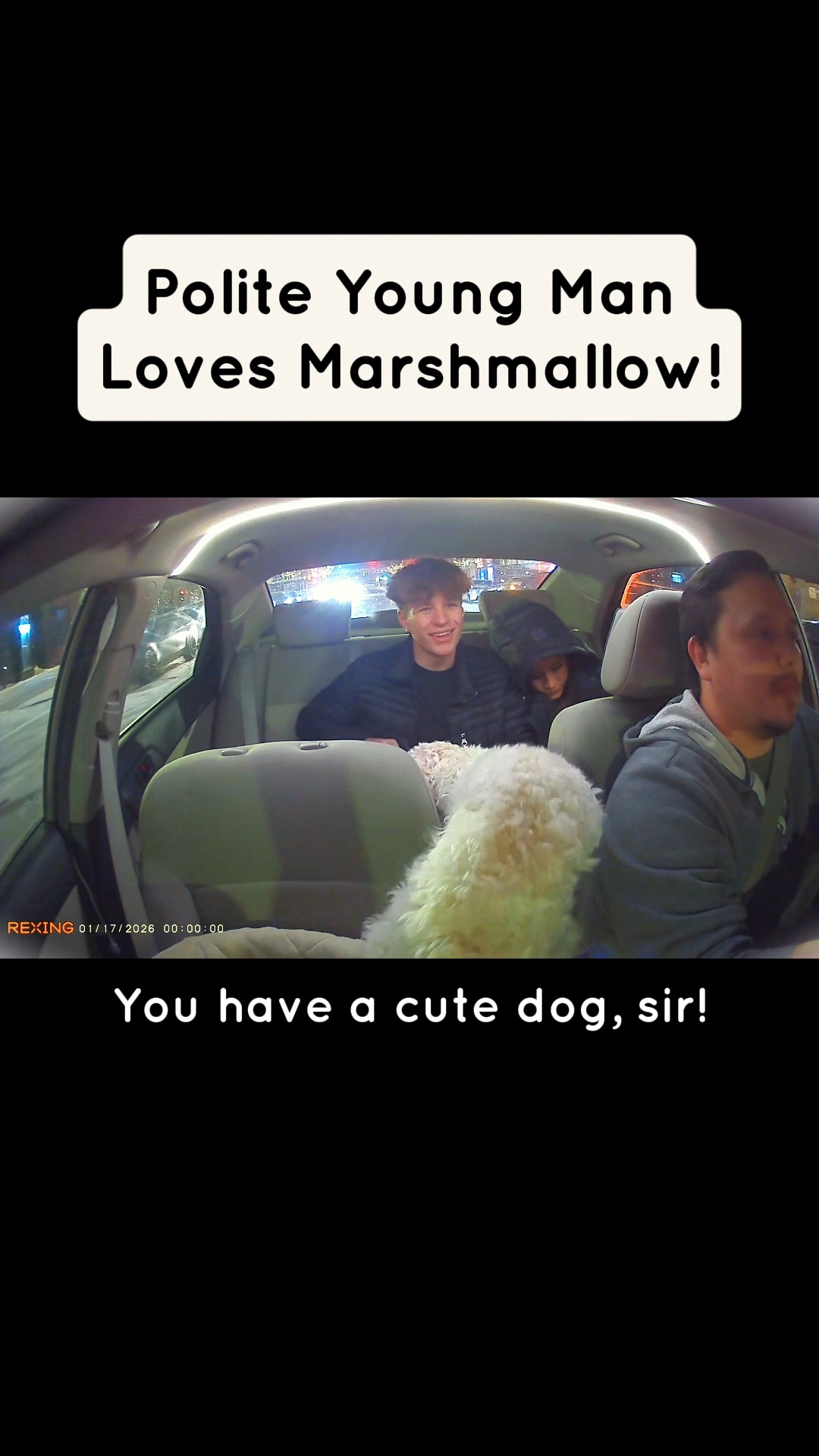 Marshmallow Welcomes All Crazies!
#ridewithmarshmallow #thelyftpuppy #dogsofinstagram #cavachon #minnesota