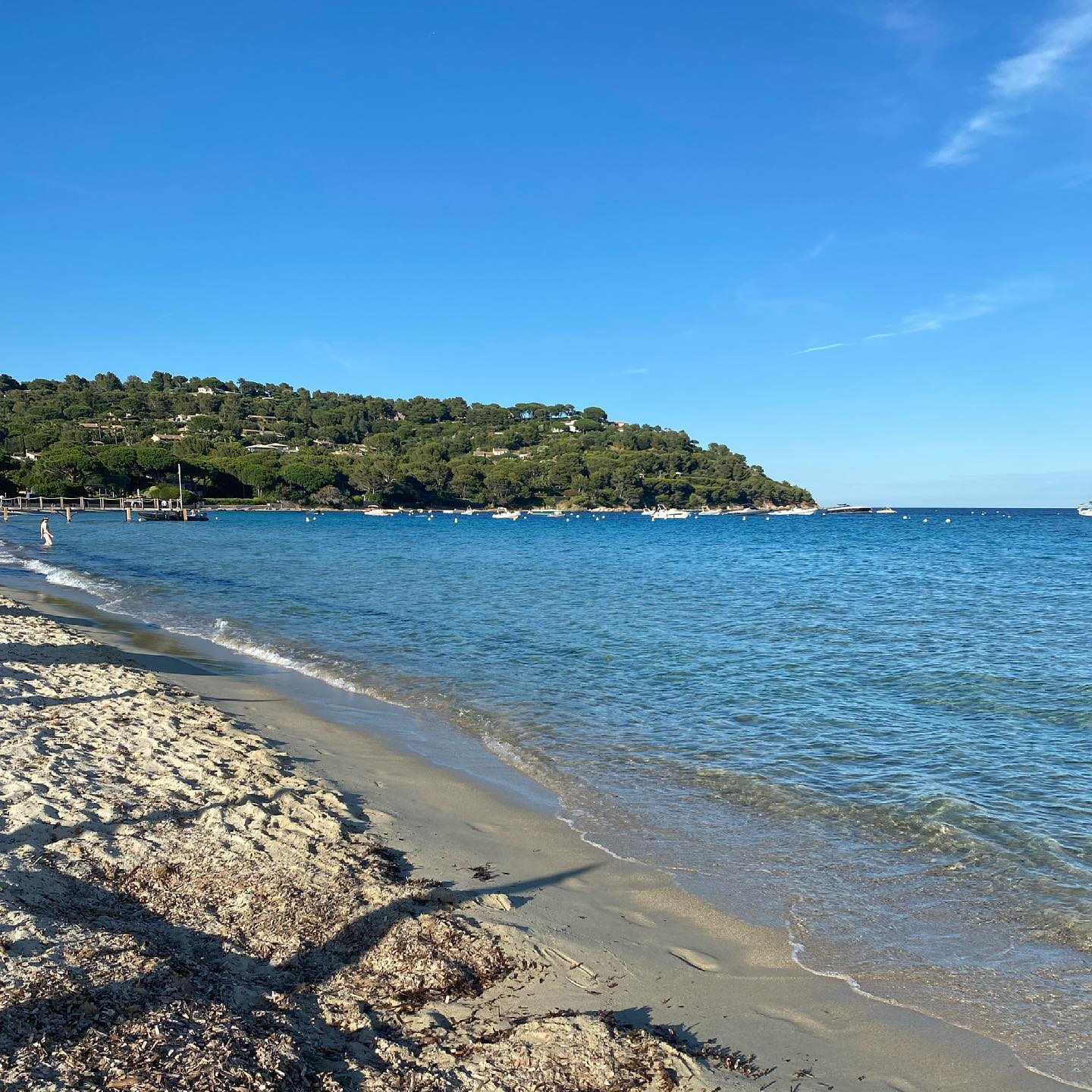 Cette eau, cette luminosité, cette température estivale! Bref de retour en pleine forme pour vous retrouver et travailler sur les nombreux projets super intéressants 🥳