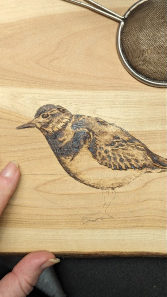 Realigning With My Art
๐ฑ Involves a conscious decision to return to the foundational elements that first ignited my passion by engaging in sketch work after the hectic schedule of November and December.
๐ฑ I do this by shifting my focus back to the simplicity and purity of pencil and paper, I am able to remove the pressure that often accompanies the finished version. This approach allows me to reconnect with the very essence of creativity.