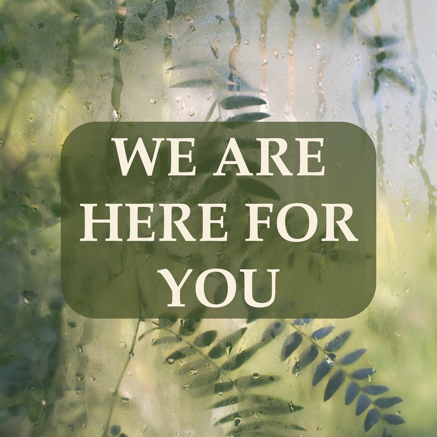🚨UPDATE: Our new warehouse is operational and all orders are being processed. For same day despatch, place your order before 2pm.
The team and I are doing all we can to ensure our customers remain happy with our services and ensure that we can offer a higher level of service, we are moving to a new warehouse facility that I believe will offer you the best service yet.
However, If you have any unresolved issues or concerns please contact us via DM or email info@antoniaburrell.com and we will get back to you as soon as possible.
I would like to take this moment to warmly thank you for your ongoing support and really looking forward to connecting with you more soon.
Thank you again,
AB x