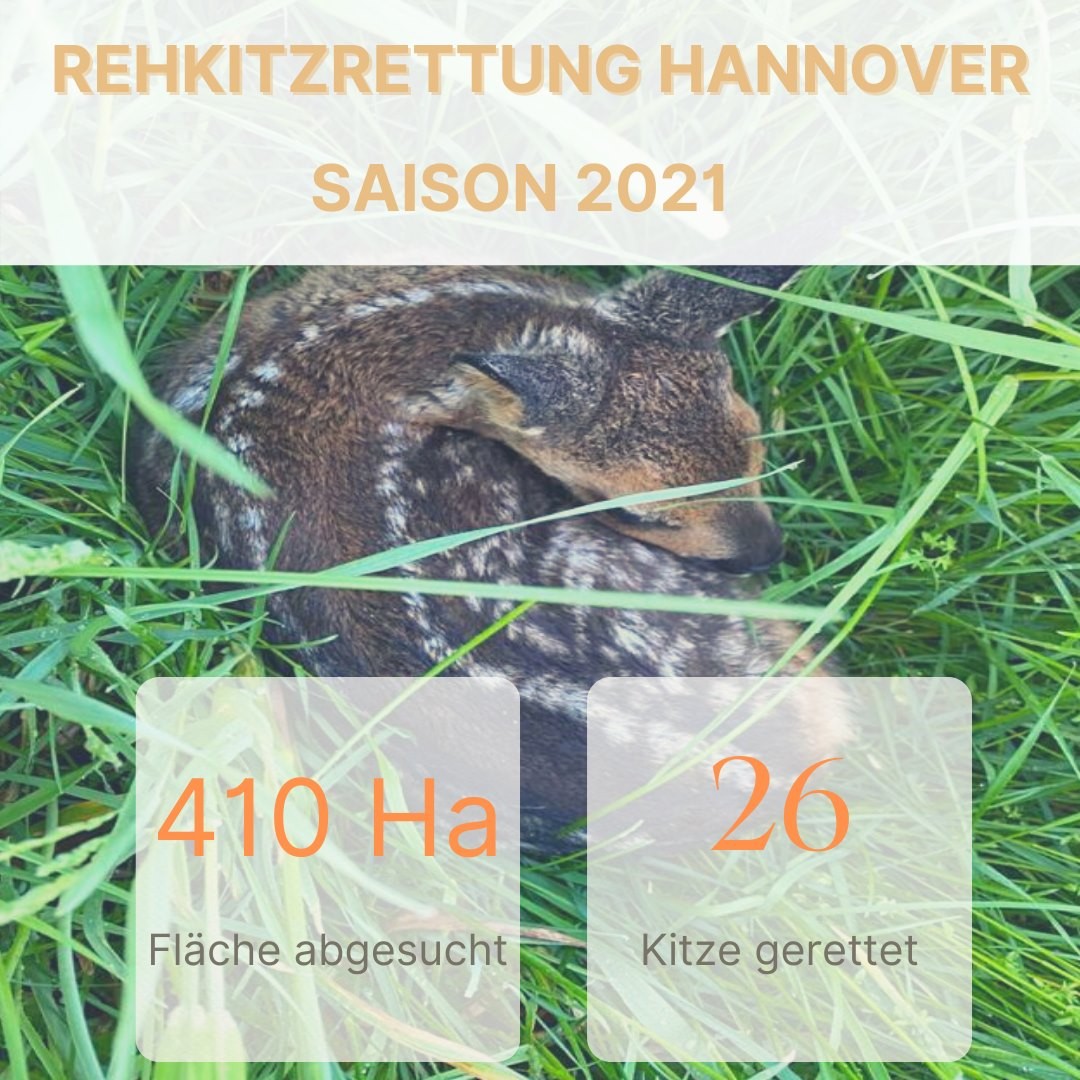 Ein intensives Einsatz-Wochenende liegt hinter uns, seit Donnerstag waren alle Teams der Rehkitzrettung Hannover im Dauereinsatz. Die Zusammenarbeit mit aller Beteiligten ist das Wichtigste und klappt von Jahr zu Jahr besser.
Weitere Infos und Kontaktdaten unter www.rehkitzrettung-hannover.de