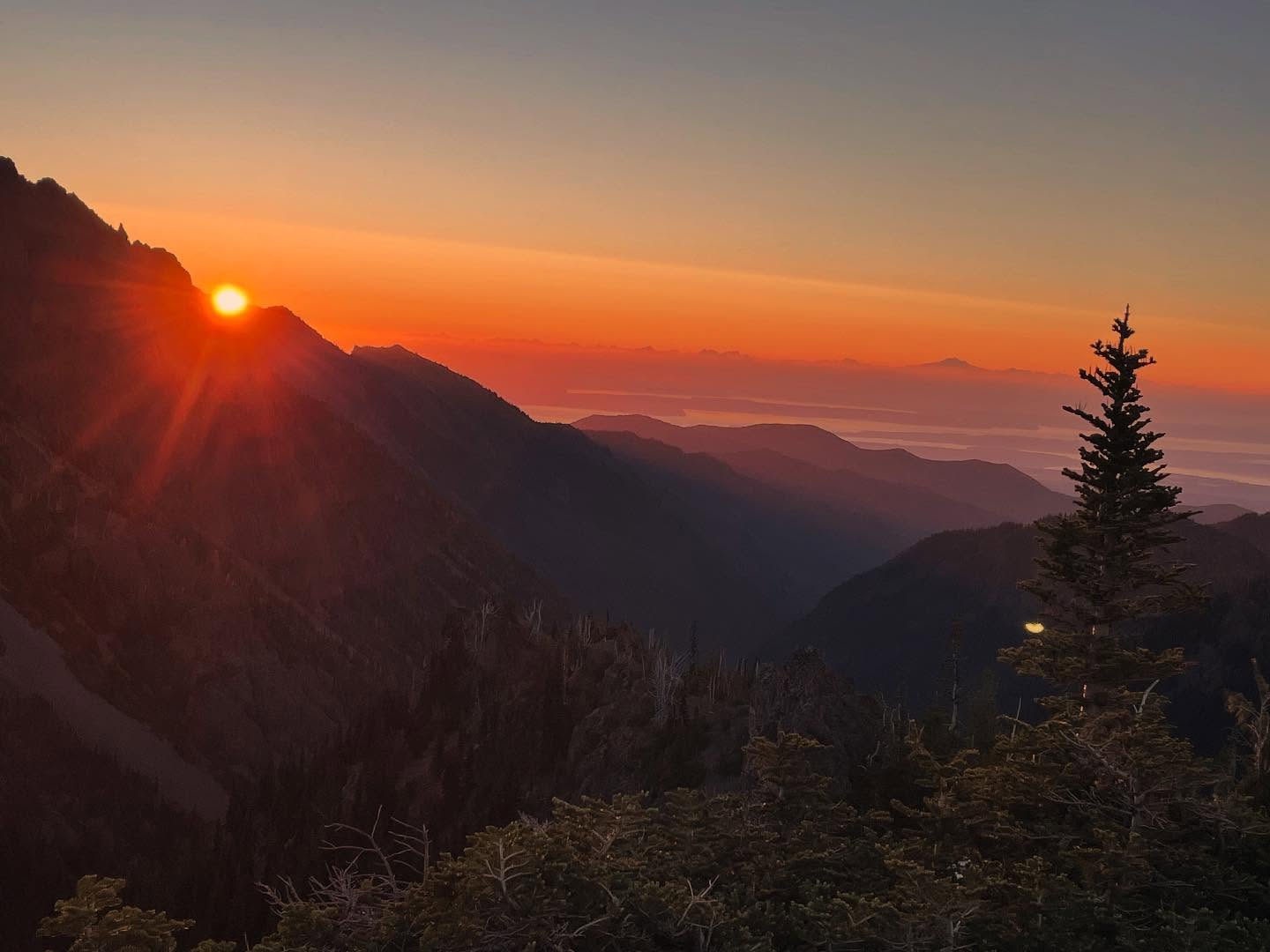 Today feels like a new day. A new chapter.
I woke up this morning in the condo in AZ.
I drove hundreds of miles alone to get here.
I unpacked and made this place my new home for 3 weeks.
When I envisioned this months ago; when I was in the pits of despair, it was an idea; a dream. I didn’t honestly know if I had it in me to make it come true.
I’ve said I have wanted to make changes before.
I’ve envisioned big scary dreams.
I’ve wanted them so badly it hurt.
…and I’ve let them drift away in the wind like a fleeting thought because I was too scared to act.
I acted. I finally acted.
And I don’t know what’s ahead, but I want to keep leaning in.
I woke up today feeling energized in a way I haven’t felt in a very long time. I don’t want to lose that feeling. I want to grab it and pull it in close, never letting go.
I was scared and I did it anyways.
You can to!
https://www.skysthelimit.online
#marmotpass #olympicnationalpark #anewbeginning #sunrise #sunrisephotography #sunriselover #sunrisesky #roadtrip #doitscared #skysthelimit #hope #selflove #hopeful #newchapter #newchapterinlife #life #lifejourney #beauty #natureheals #nature #naturelovers #pnw #empowerment #youcandoit #youarebrave #youareenough #yourarenotalone #youarebeautiful #brave #bebrave