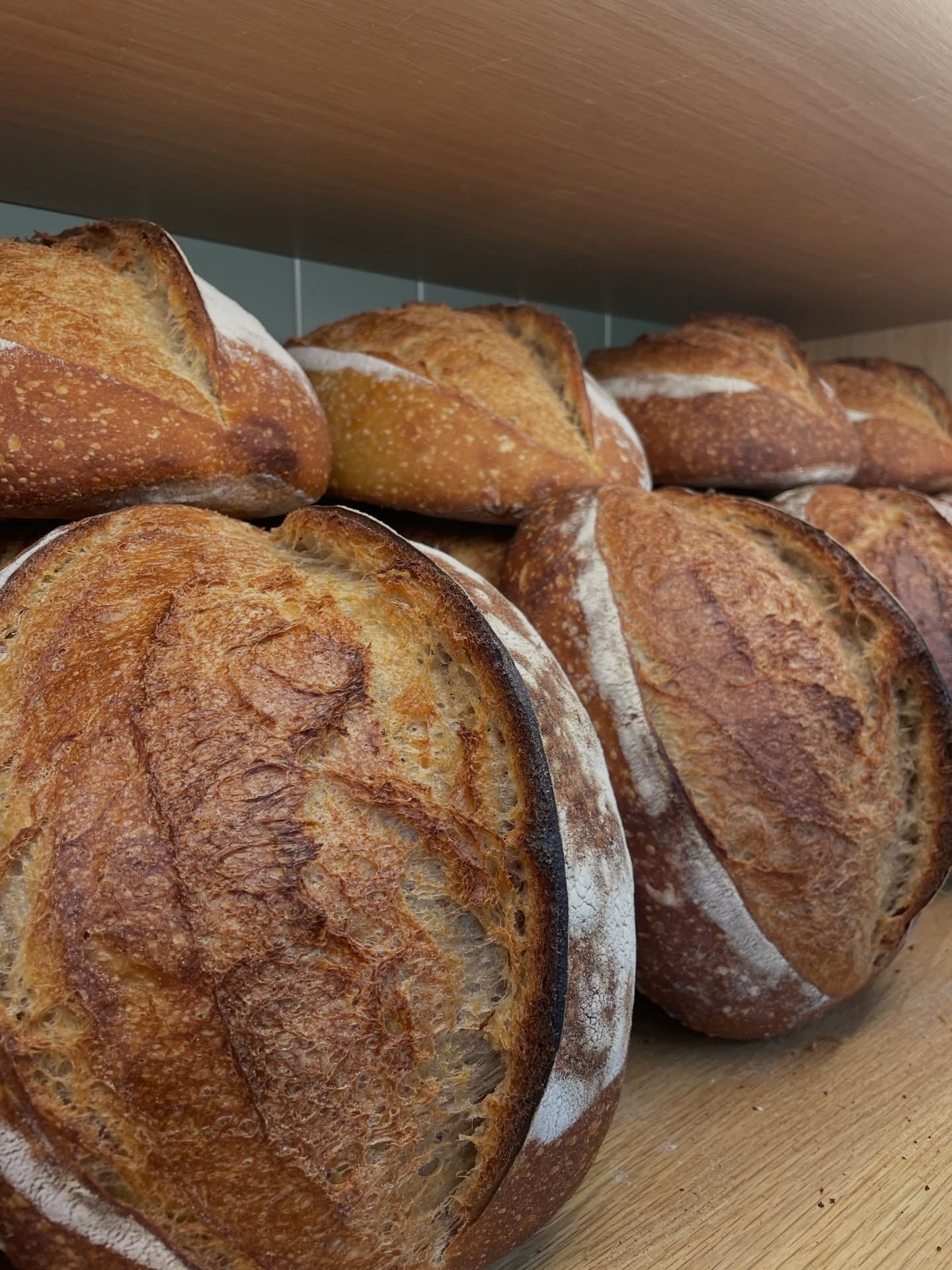 Our CSA sign up is open and so is the Gardiner Bake House Bread Share! Come by the farm for a Tuesday pickup with 23 weeks of crispy crusted goodness. Pickup is from 3-6 pm, June - November. While you don’t need to be a Phillies Bridge CSA member to sign up for your weekly sourdough loaf at the farm, I guarantee you’ll want to be after taking a look at our veggies.
You can use the links in our bio to see our website for more info or use the bread share link to sign up now.