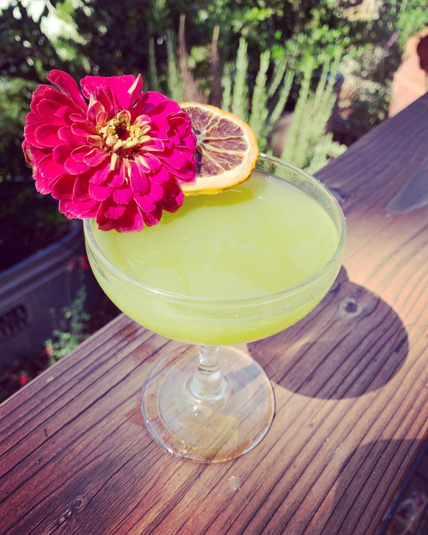 A fun little treat made from #cognac for #cognacconnection @cognacusa @speed_rack @vinepair #cognaclover #cognaclife #bartender #bartenderlife #brandy #distillery #mixit #grapes #pasorobles #pasowine #pasowinecountry #californialove #slo #cocktails #talesofthecocktail