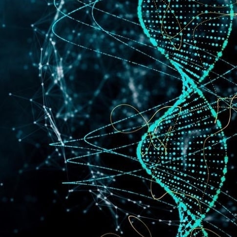 Our 1st Chakra is our survival chakra. Information and experiences are coded in there so we can get through crises that we have died from in the past. Fear and survival is handed down through the genetic code from our ancestors. If you are experiencing any of this you may have old recordings in your body from the plague and other pandemics. If you wish to dispense this fear get some energy tools so that you can handle what's happening in present time in an elevated manner. Spiritualmechanics.org
#spiritualmechanics #geneticcode #1stchakra #rootchakra #spiritualawareness #energytools