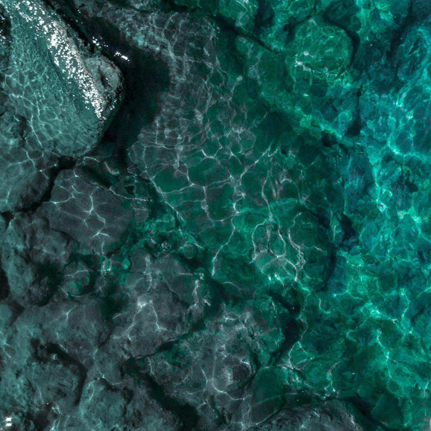 More info coming soon...
#Art2BeHumanDay