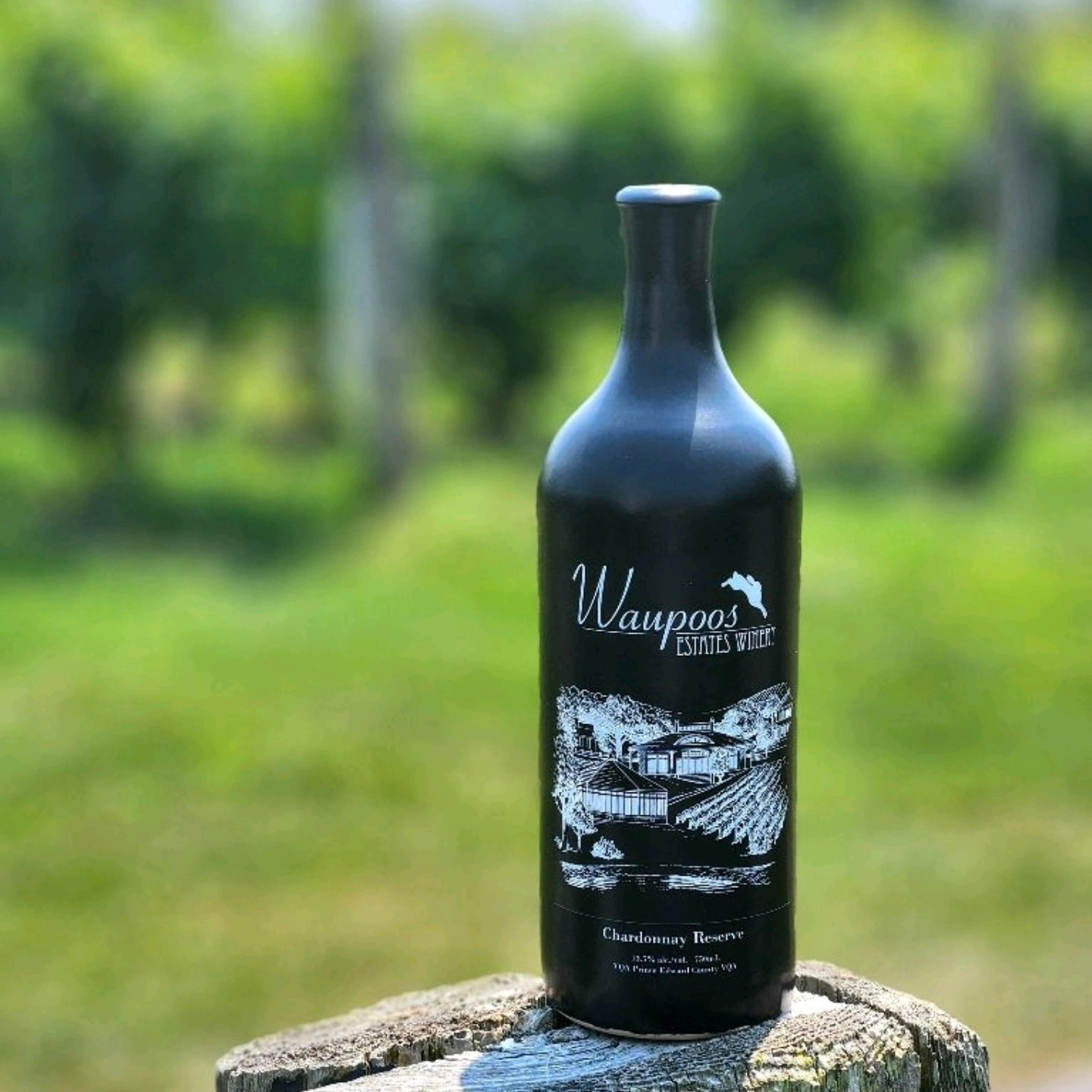 New Release!
Chardonnay Reserve 2024 | bright aromas of white peach and honeydew melon are followed by layers of green apple and a hint of lemon zest, bringing a crisp refreshing character. A subtle minerality adds depth and structure, while delicate floral notes carry through to a clean, lingering finish.
@pecwine