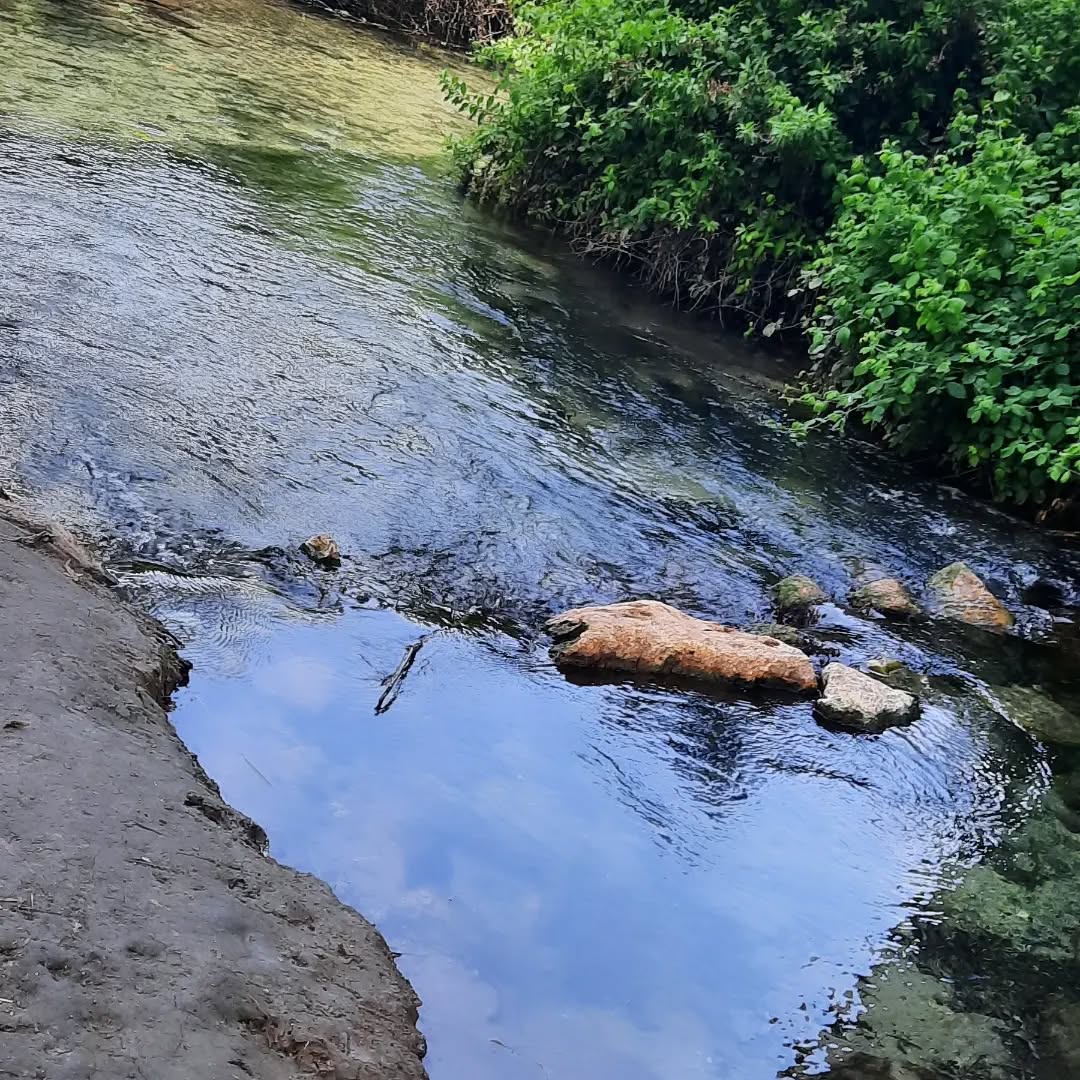 בחמישי מצאתי מקום מדהים, פנינה באמצע הבלאגן הגדול של הצ'ק פוסט..נחל סעדיה. פגשתי שם קומונה מקסימה של מכינת גל. עוד צעד קטן במסע אל השליחות שלקחתי עלי - לפגוש אנשים צעירים ולהעביר להם ידע שנצבר לאורך עשרות שנים