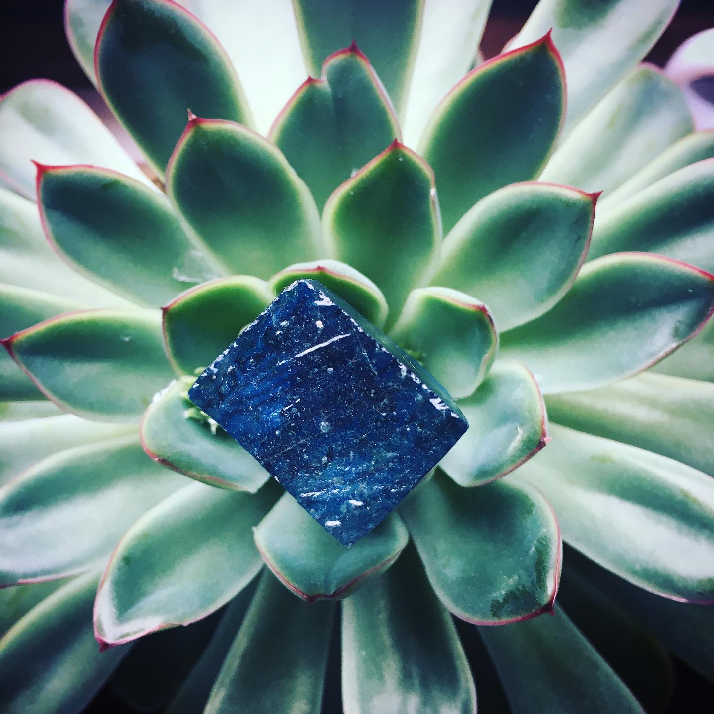 New Year New Leaf #happynewyear #catchingawave