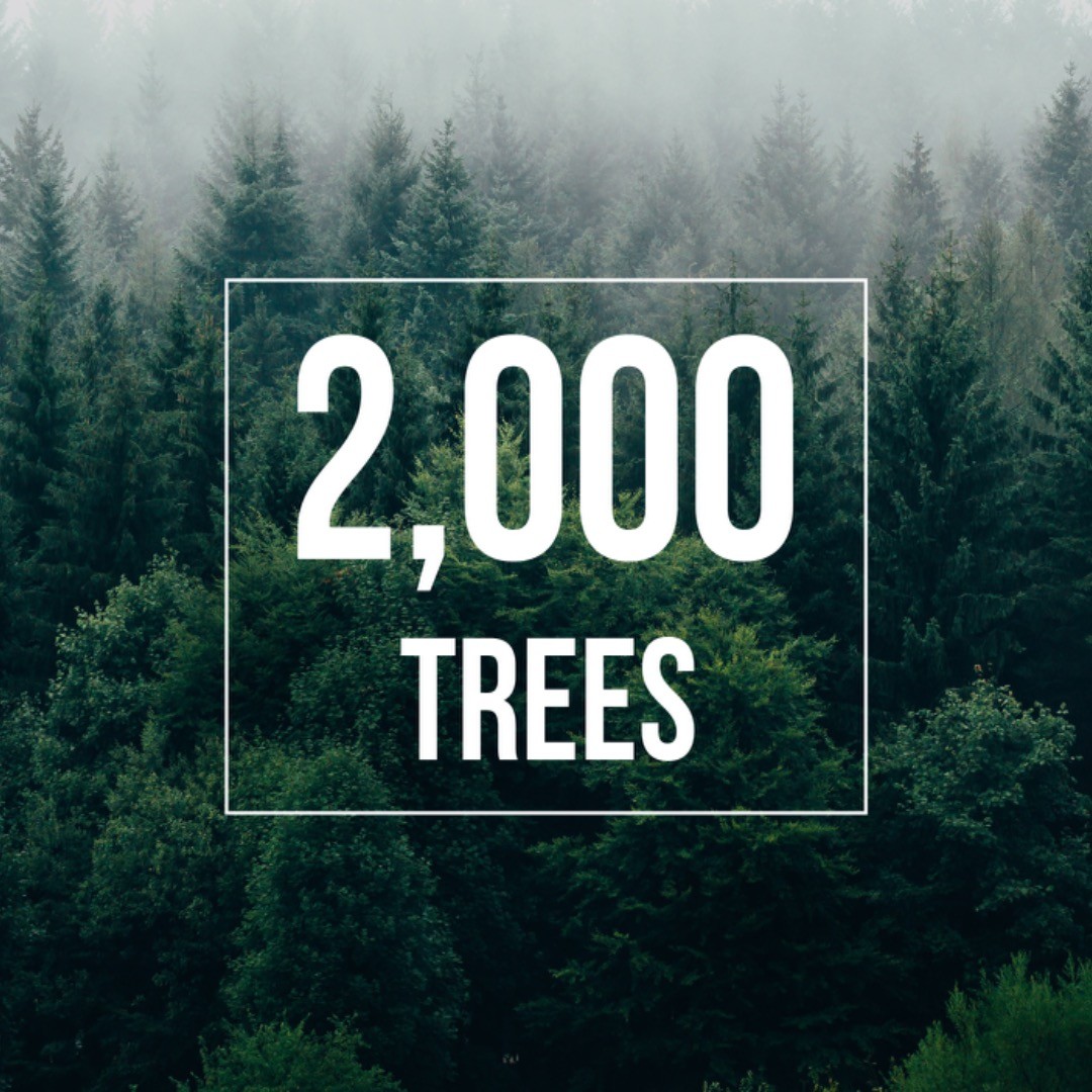 Today we have reached the milestone of 2,000 trees planted. Happy #earthday to you.
