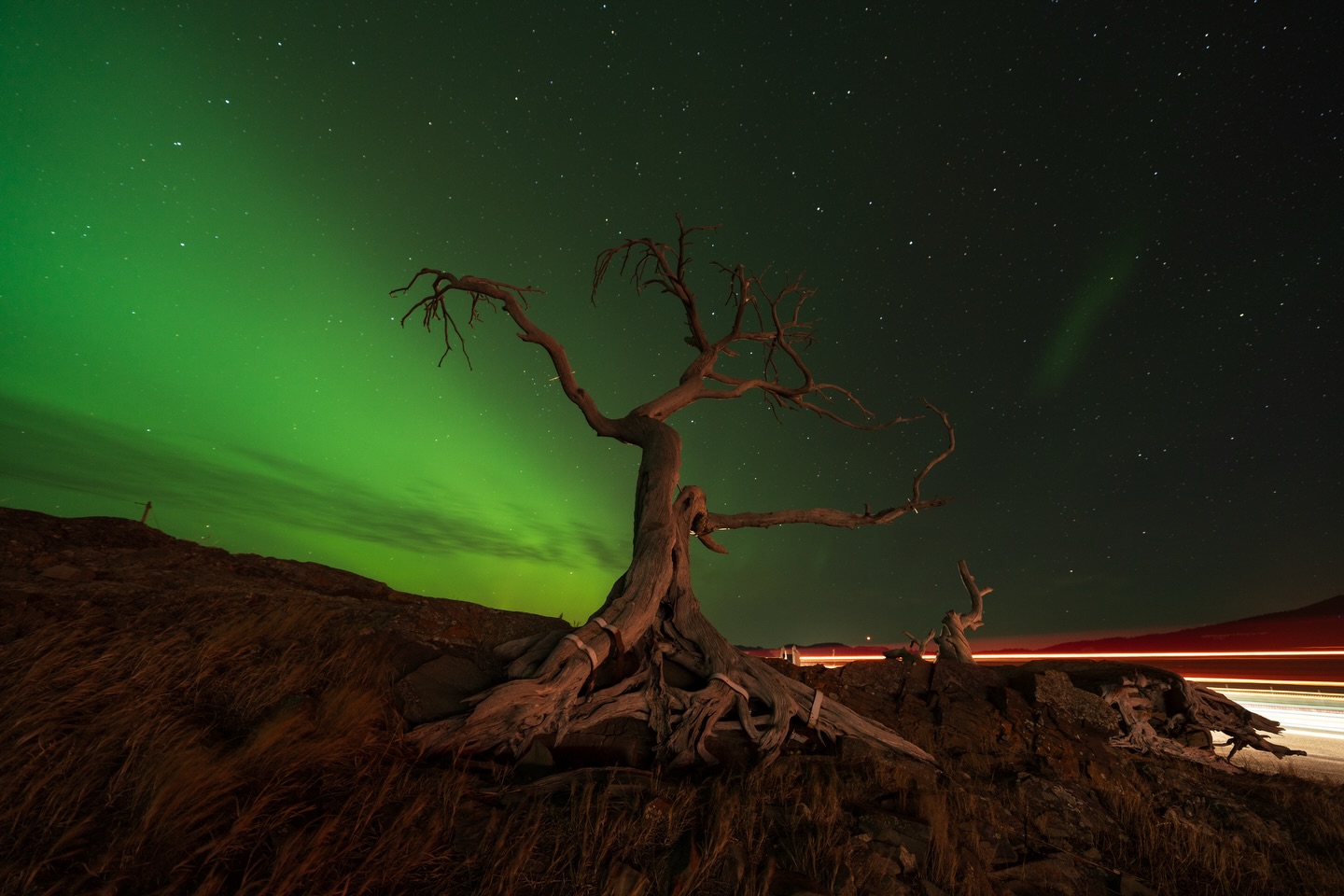 To the ones who missed the Aurora, here’s some pictures I took near Pincher creek.
#sonyalpha #alberta #northernlights #Aurora