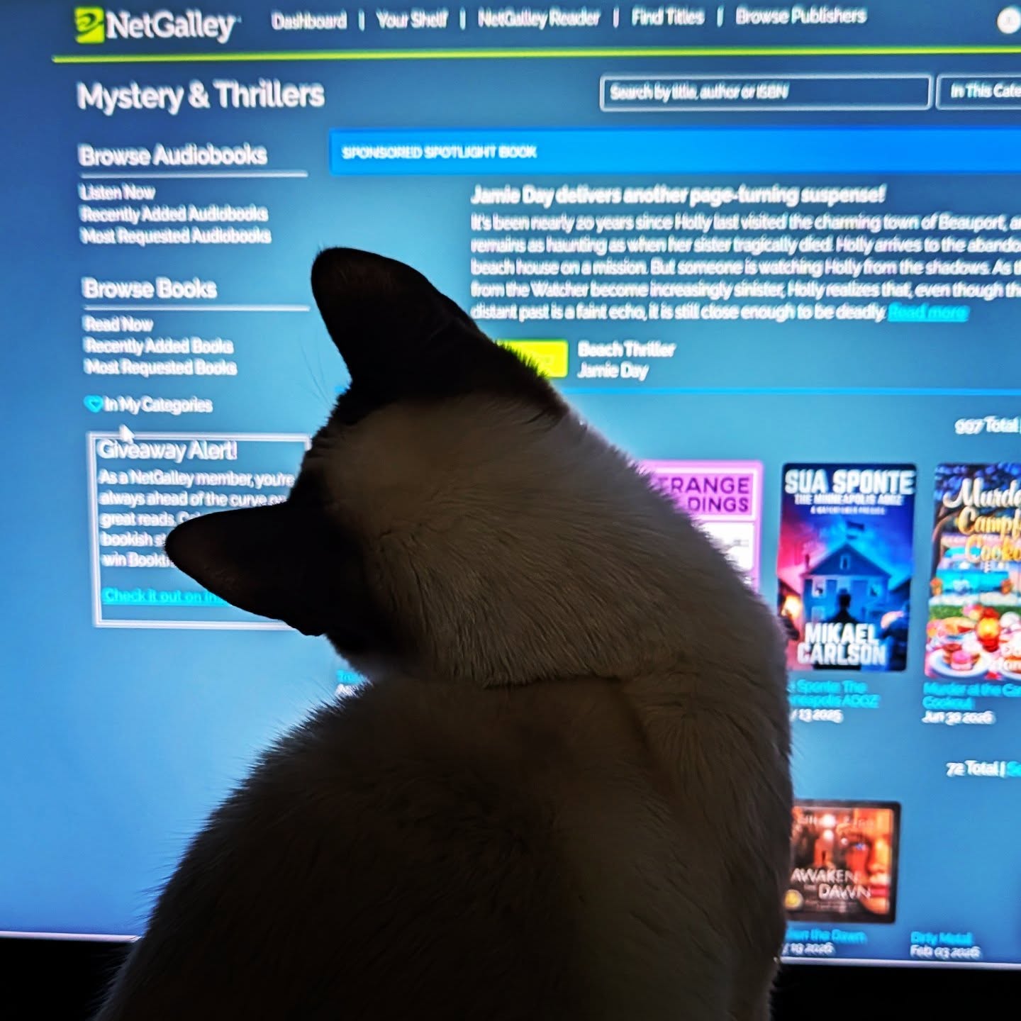 When you're really eager to find that next @netgalley gem! 📚🤣
#netgalley #netgalleyreader #bookishlove #catscatscats #catsandbooks