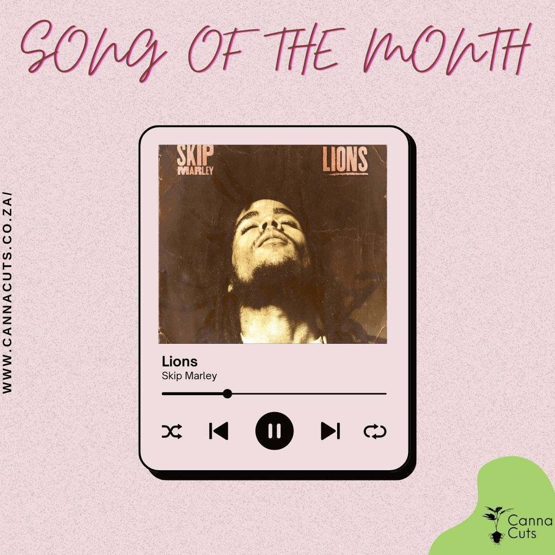 Drop a comment of your favorite song to play while working in the garden.
Lions - Skip Marley, a classic by the grandson of a legend, Bob Marley. What do you think about this song?
#bobmarley #skipmarley #reggae #music #homegrown