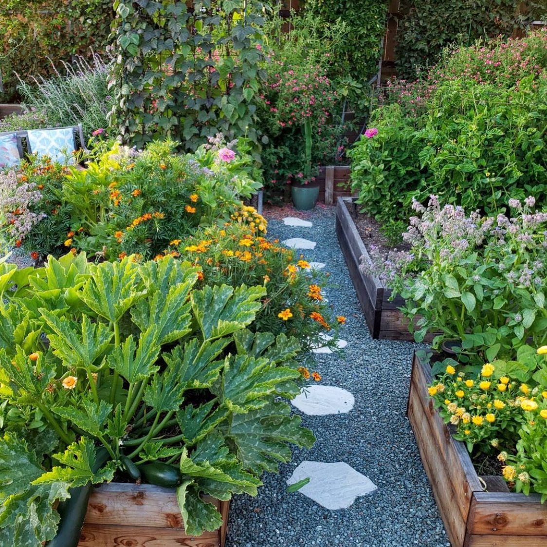 Veggie patch goals!!! Yep time to get into the garden this weekend and see if I can grow myself a giant squash! Image from #plantpowered