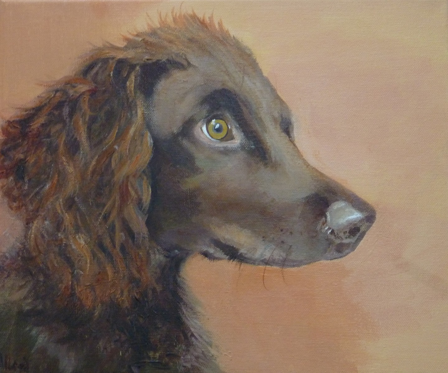 Portrait of "Gus"
Acrylic on canvas
A4 landscape
This charming Sprocker spaniel puppy is smart, intelligent, playful and fun loving.
He can flush out pheasants and has been known to catch a sparrow in his mouth with lightening speed.
#acrylicpaintings #petportraiture #portraits #artistsoninstagram #sprockerspaniel #spainielsofinstagram #gundog #dogsofinstagram #womenartists #workingdog #country #countrylife #acrylicsoncanvas #dogs