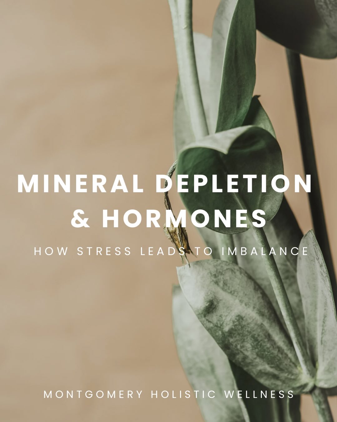 Minerals play a major role in hormone balance ⚖️
Stress can drain both our energy and our mineral stores — making nourishment and rest more important than ever 🌱
Save this and send it to someone who needs a reminder 🤍☺️
#womenswellness #fertility #holisticwellness #hormonehealth #nervoussystemregulation