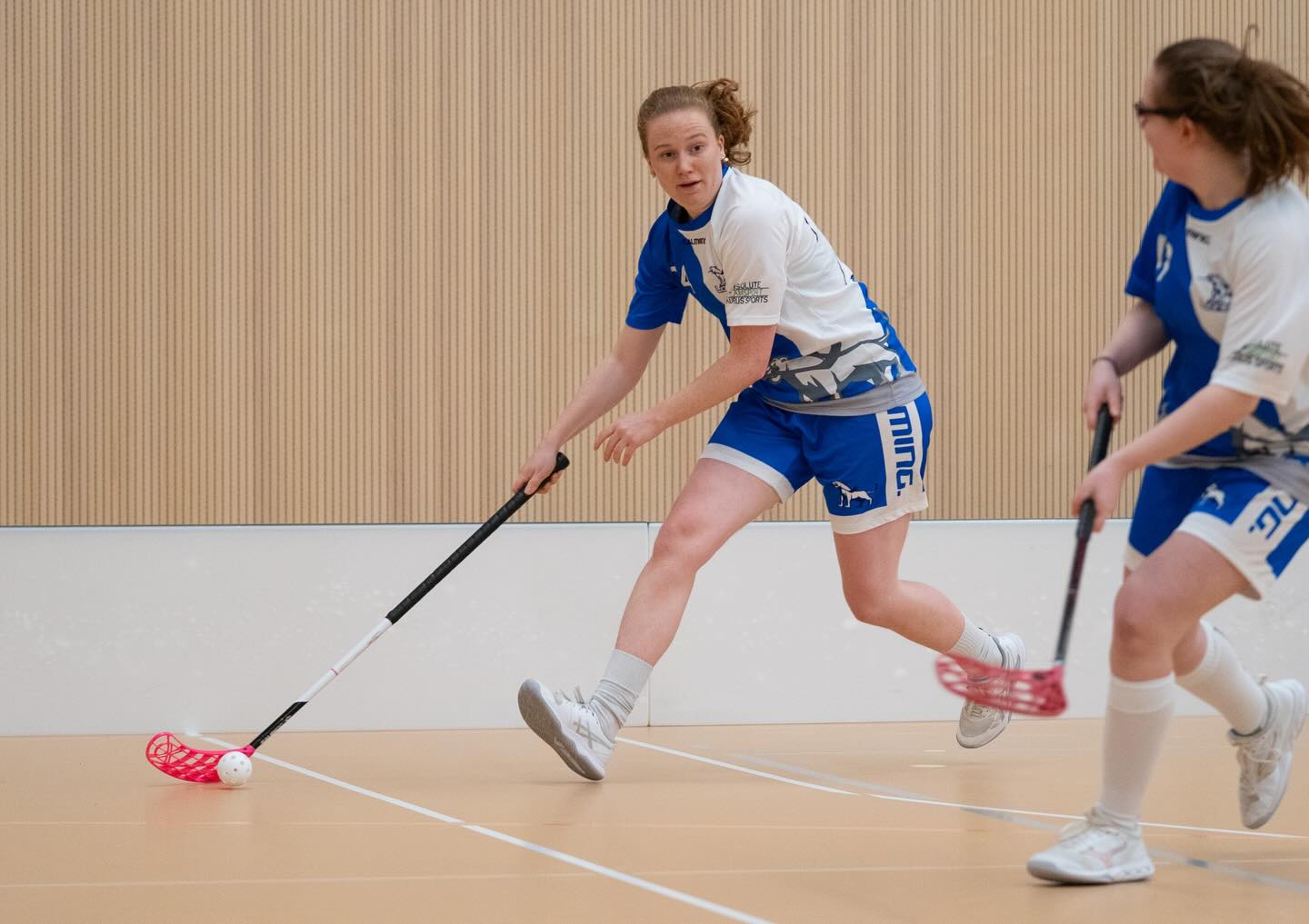 Fotos vom vergangenen Heimspiel!❤️
🔵⚪️
Danke, @n.rechberger! 🐐
🔵⚪️
#fotos #lioness #swissunihockey #zurich #meisterschaft
